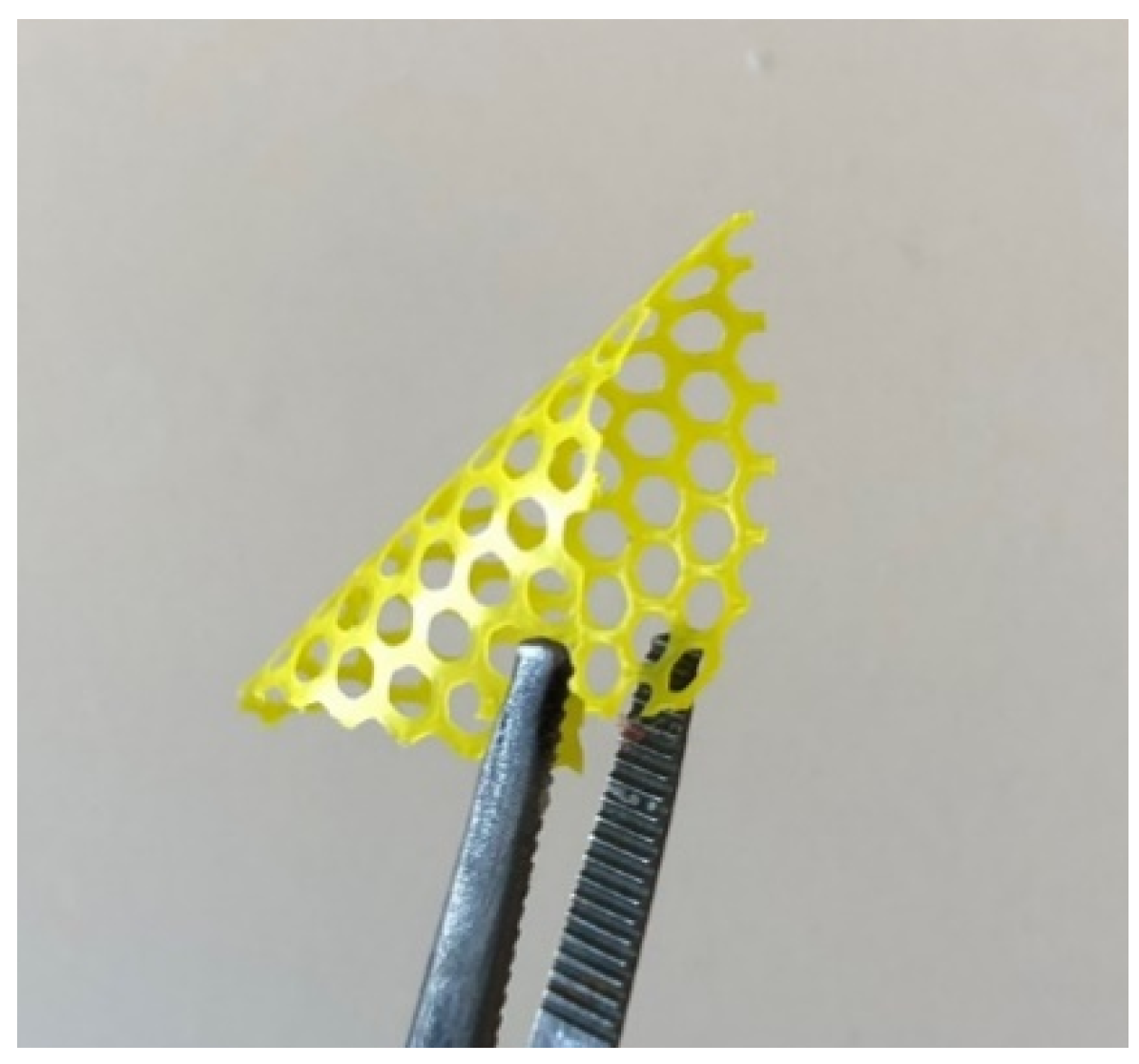 Pharmaceutics 13 00471 g010