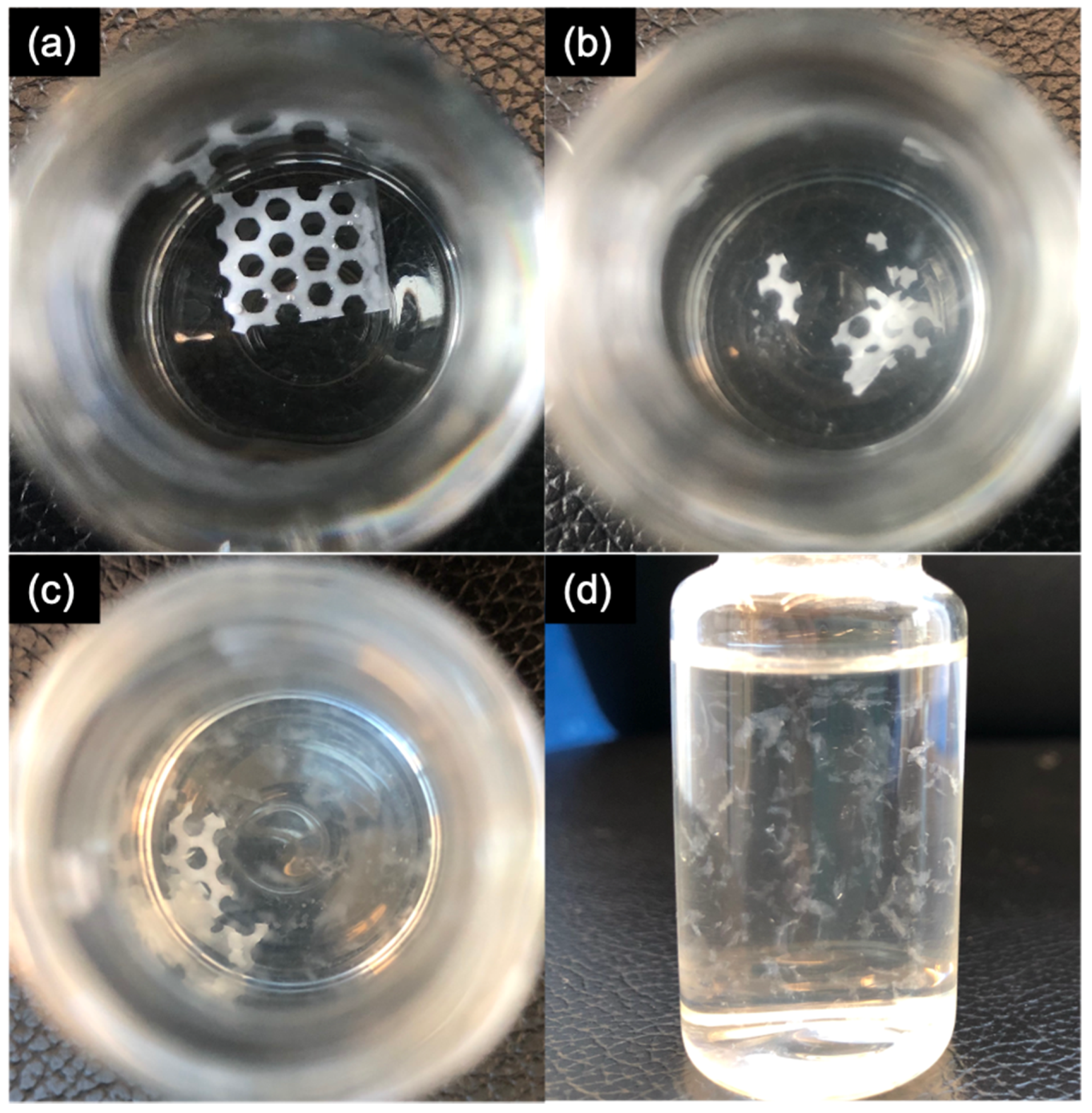 Pharmaceutics 13 00471 g012
