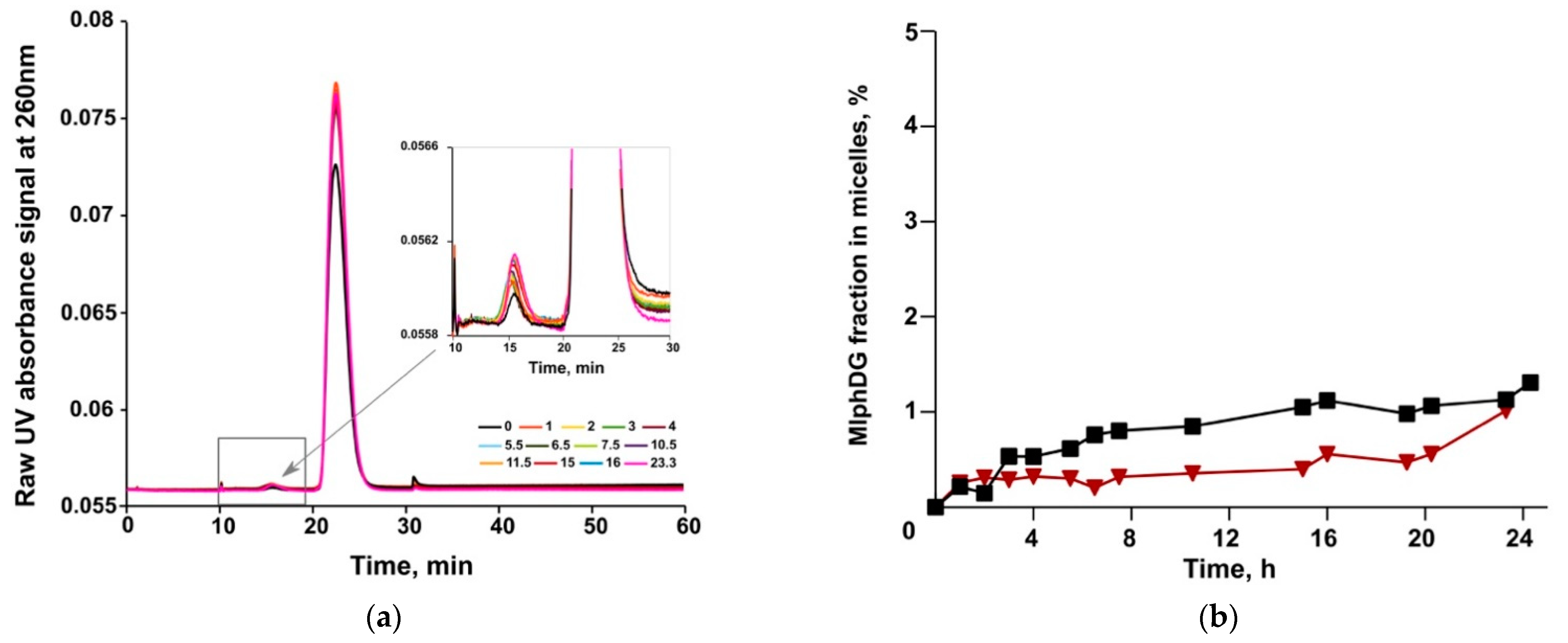 Pharmaceutics 13 00473 g009