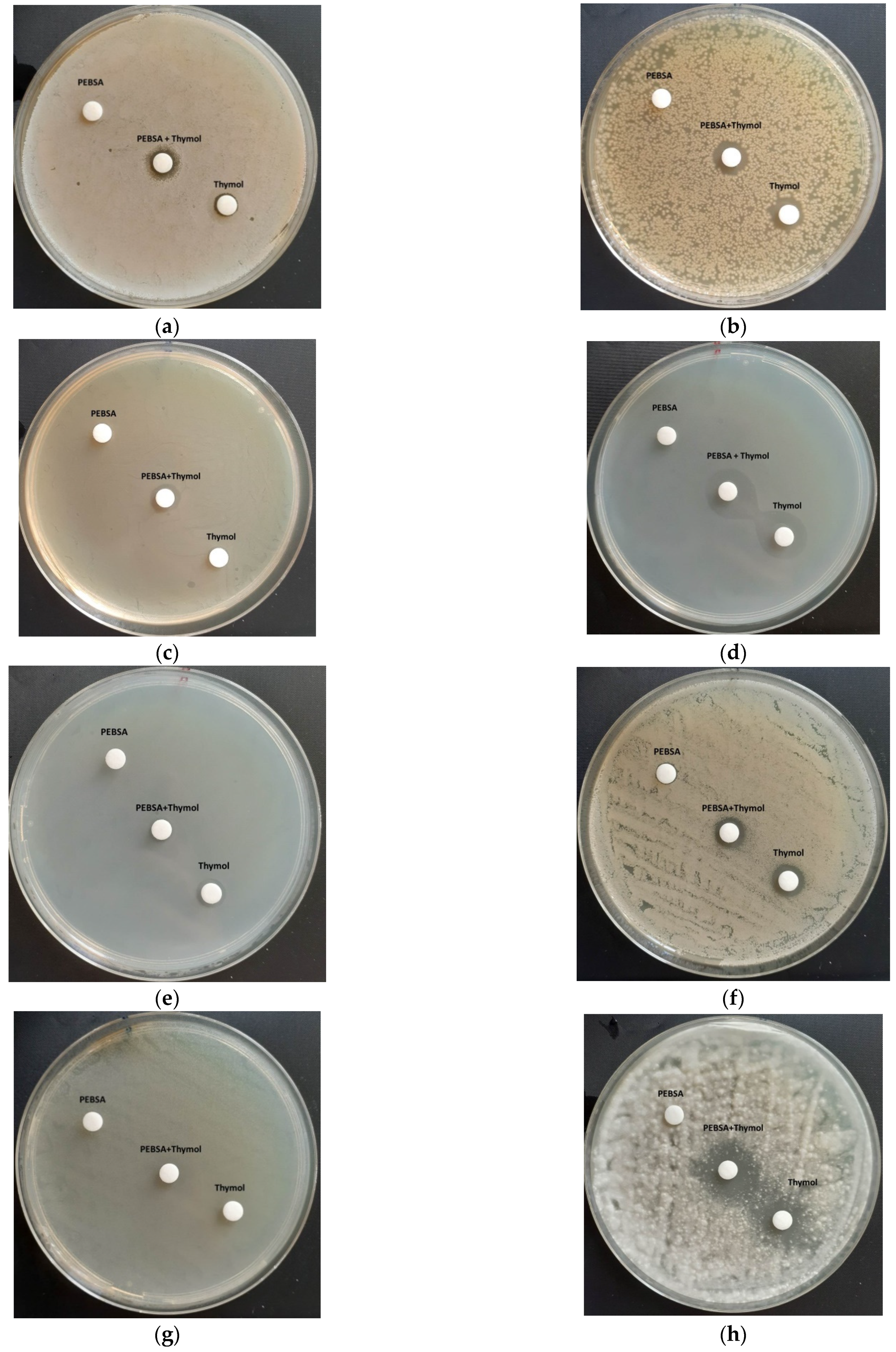 Pharmaceutics 13 00477 g016