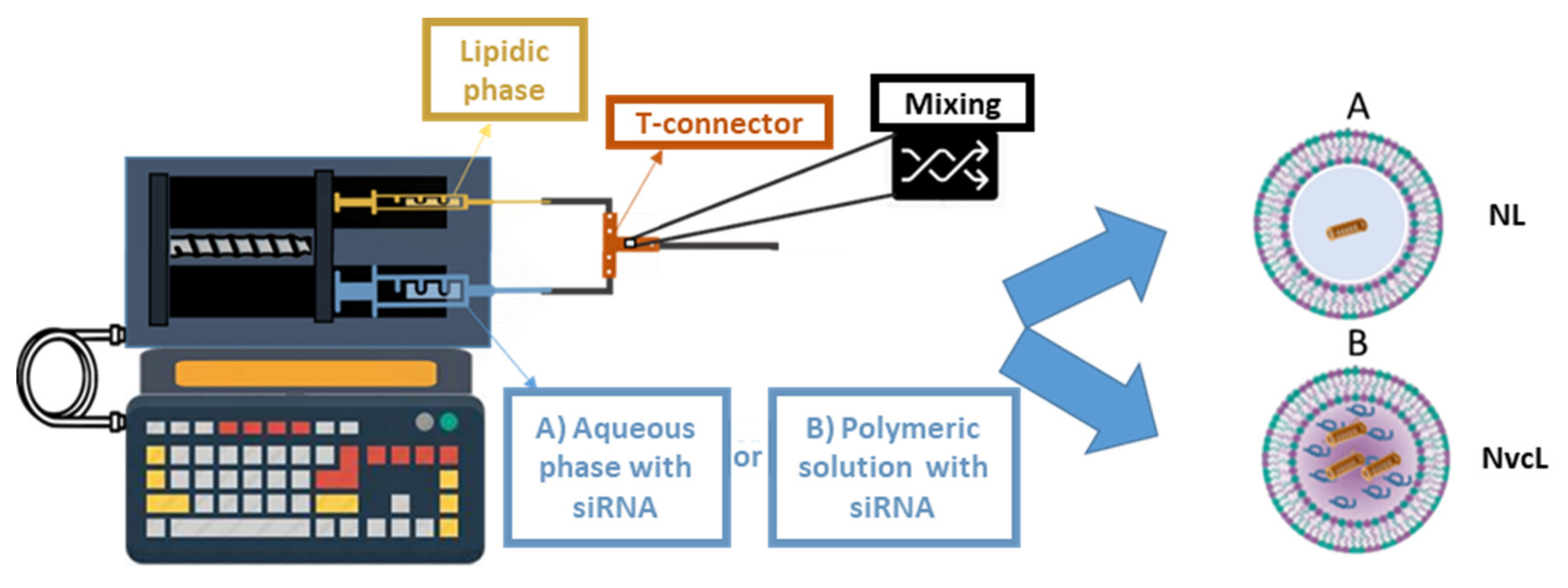 Pharmaceutics 13 00479 g001