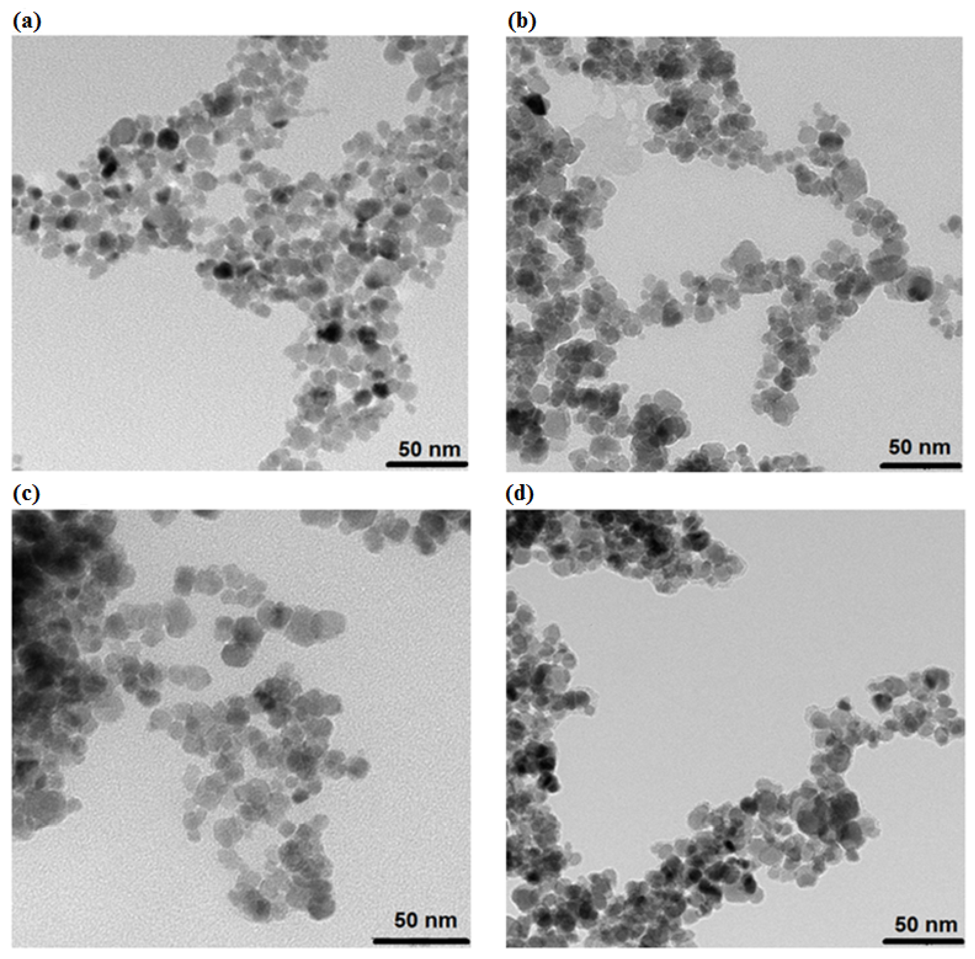 Pharmaceutics 13 00480 g001