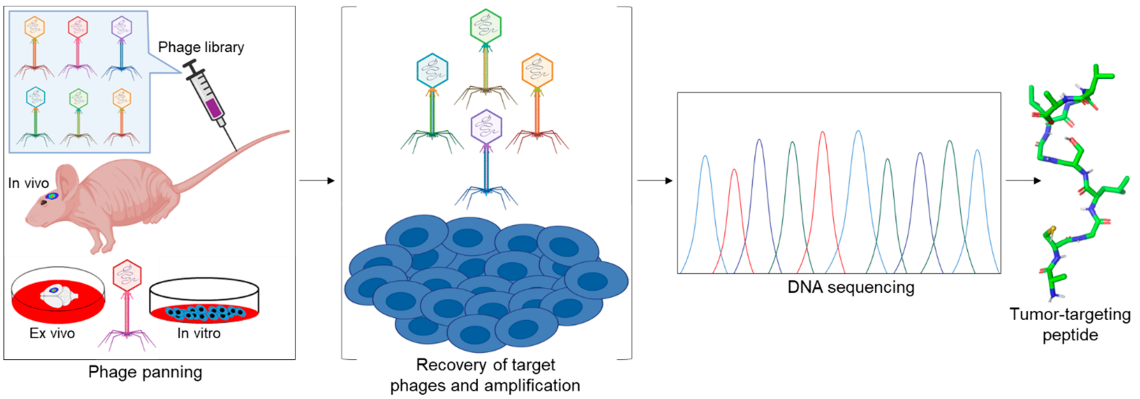 Pharmaceutics 13 00481 g001