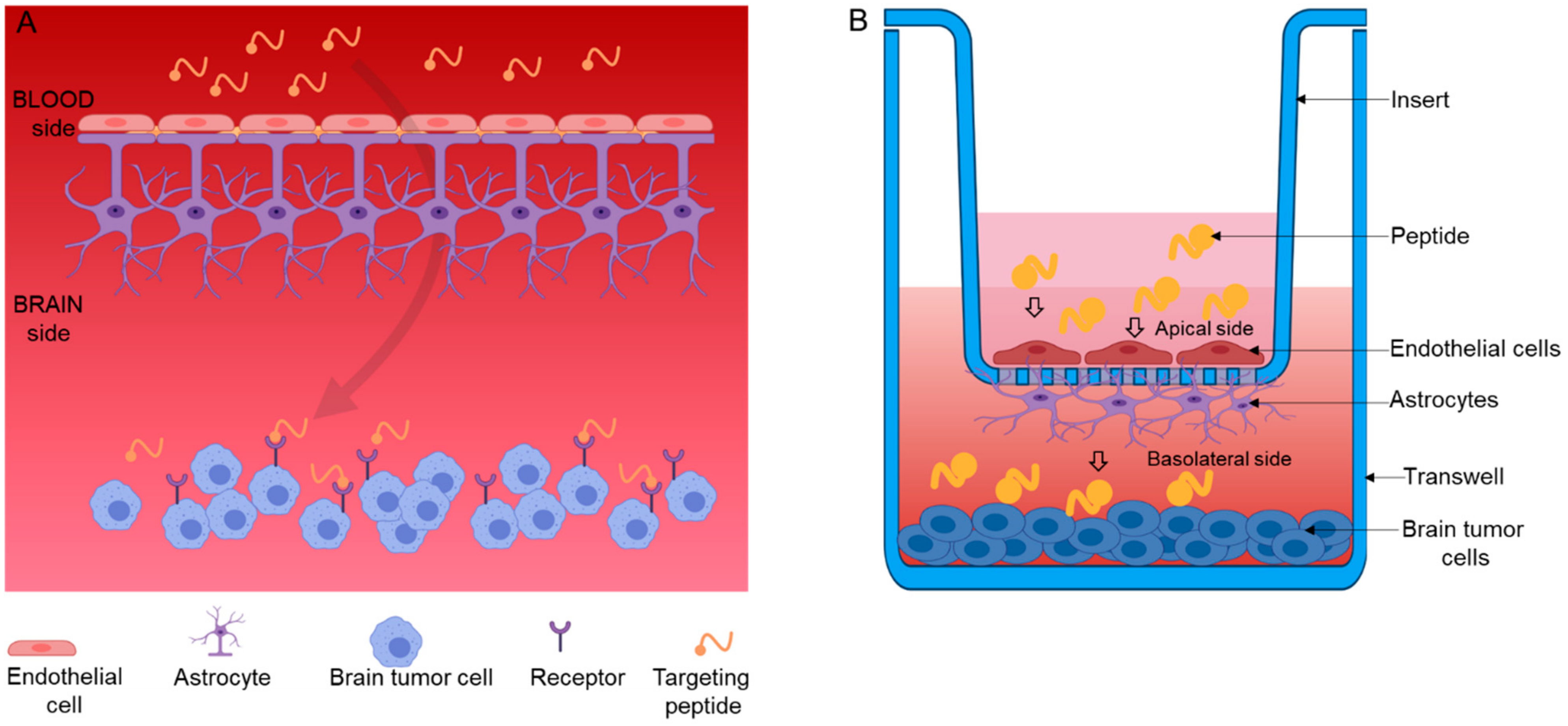 Pharmaceutics 13 00481 g002