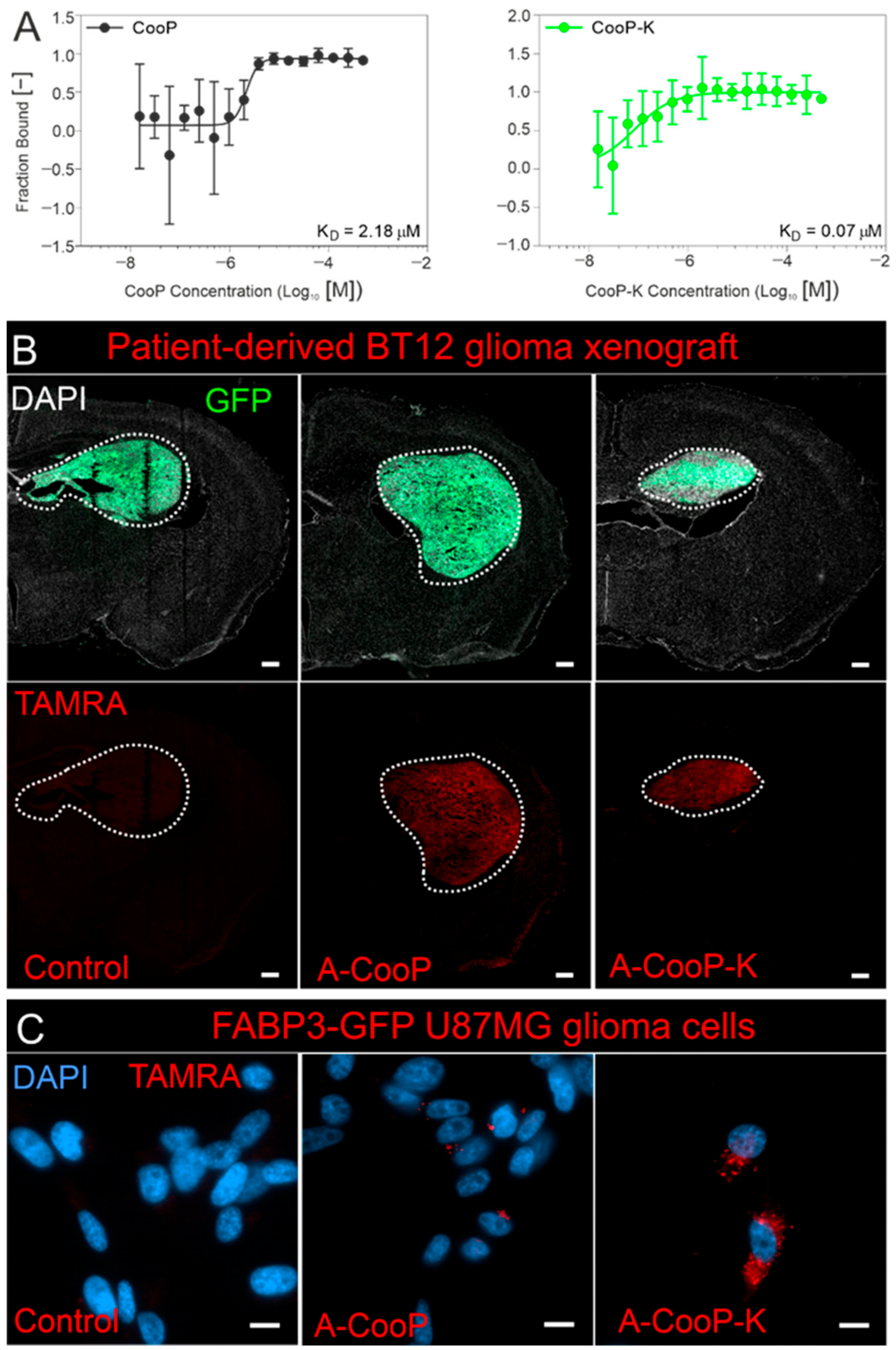 Pharmaceutics 13 00481 g003