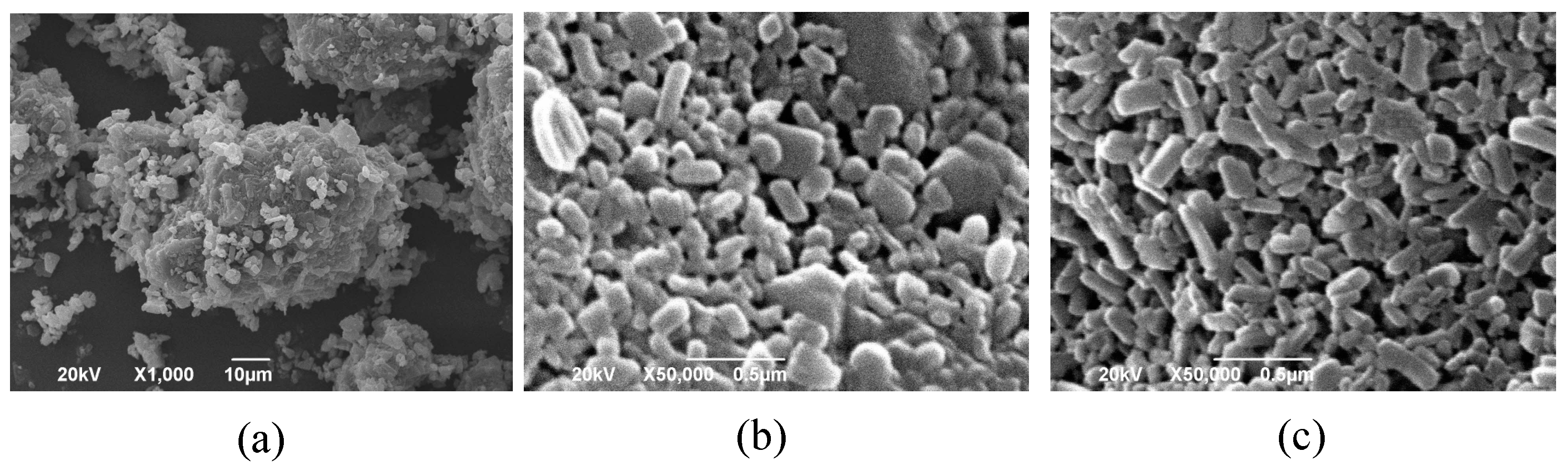 Pharmaceutics 13 00482 g004