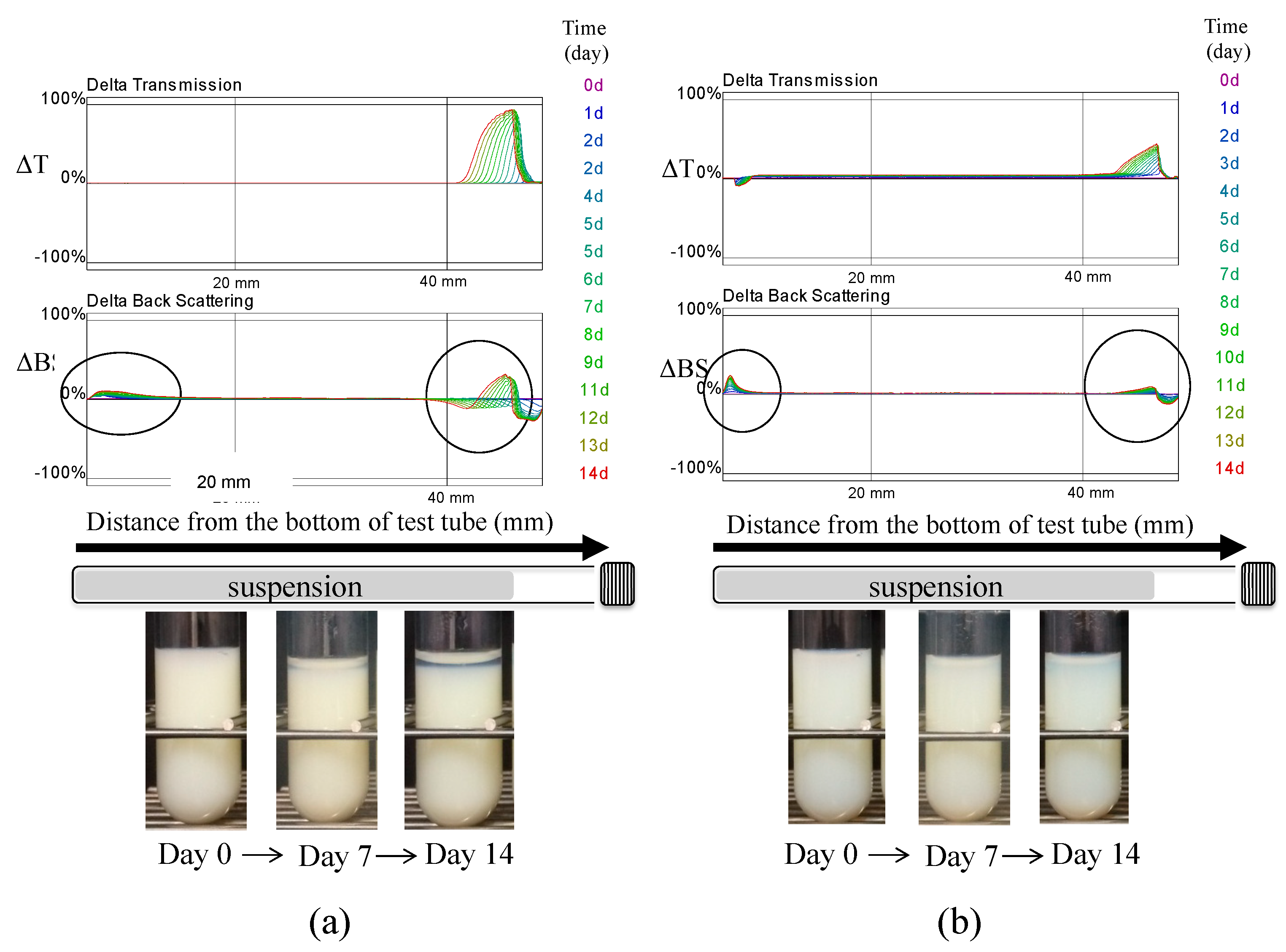 Pharmaceutics 13 00482 g007