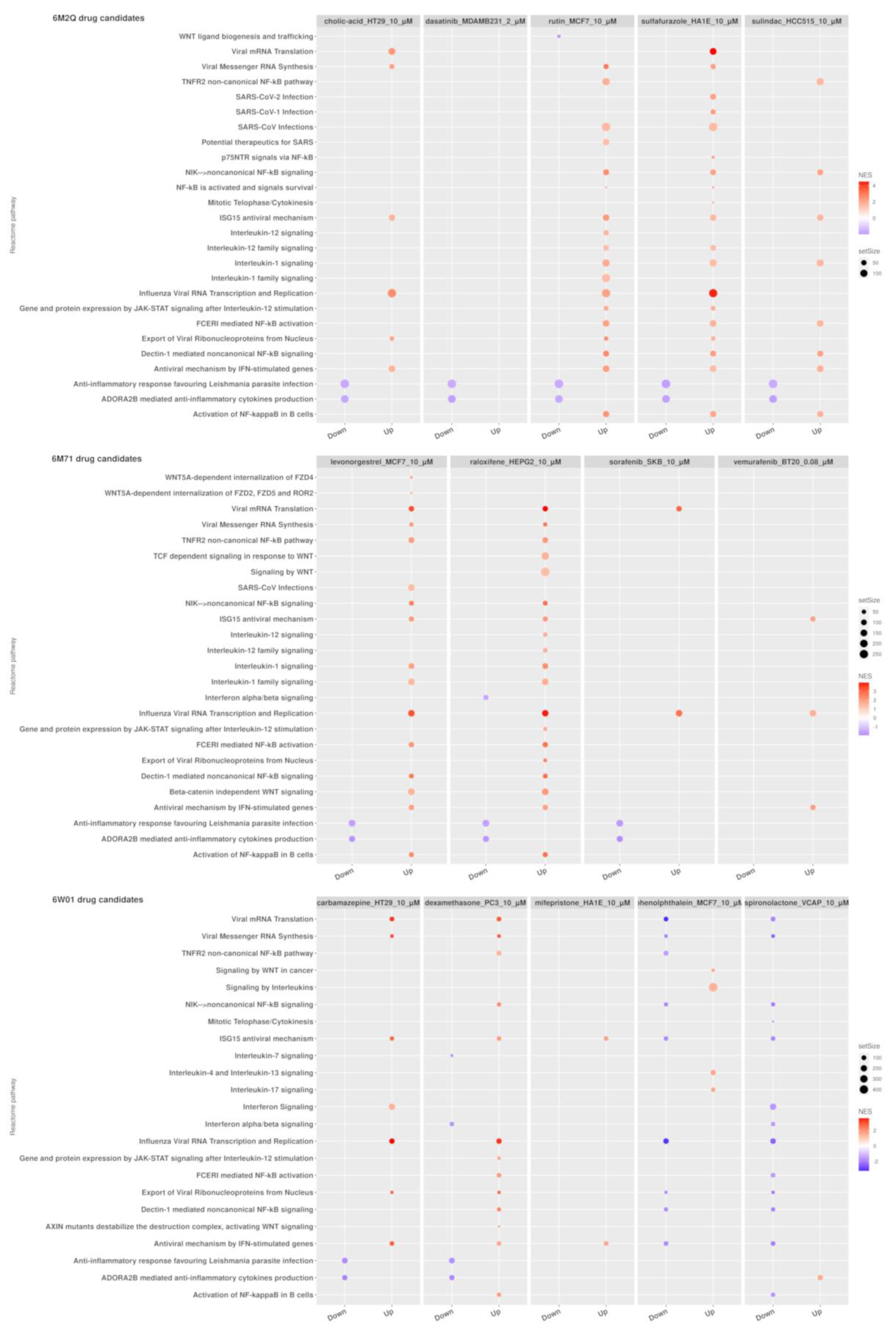 Pharmaceutics 13 00488 g003 Pharmaceutics 13 00488 g003