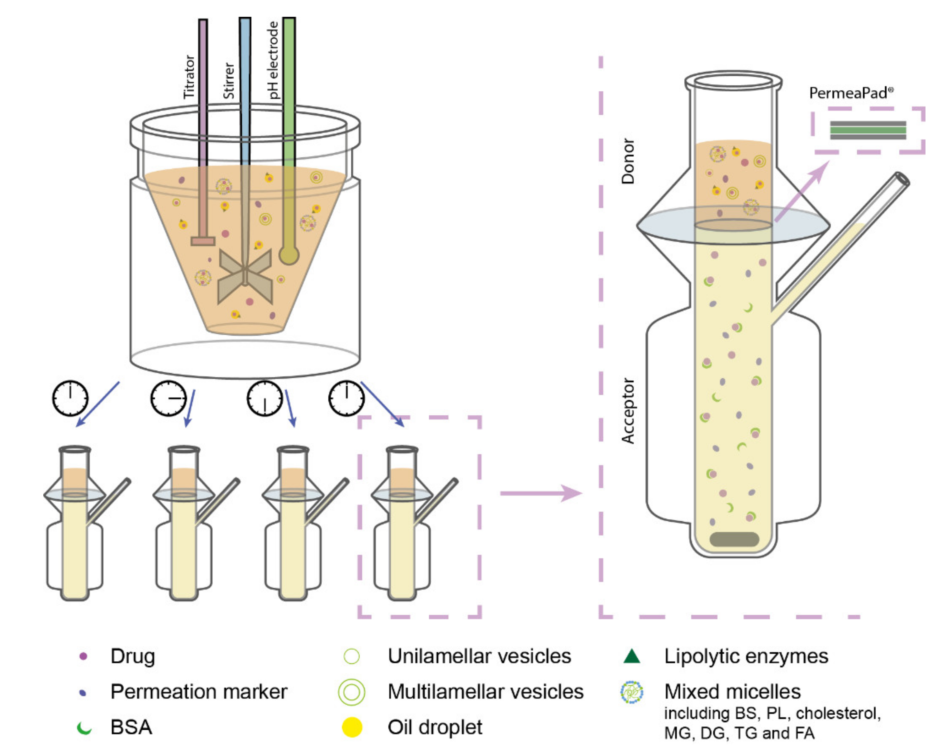 Pharmaceutics 13 00489 g001