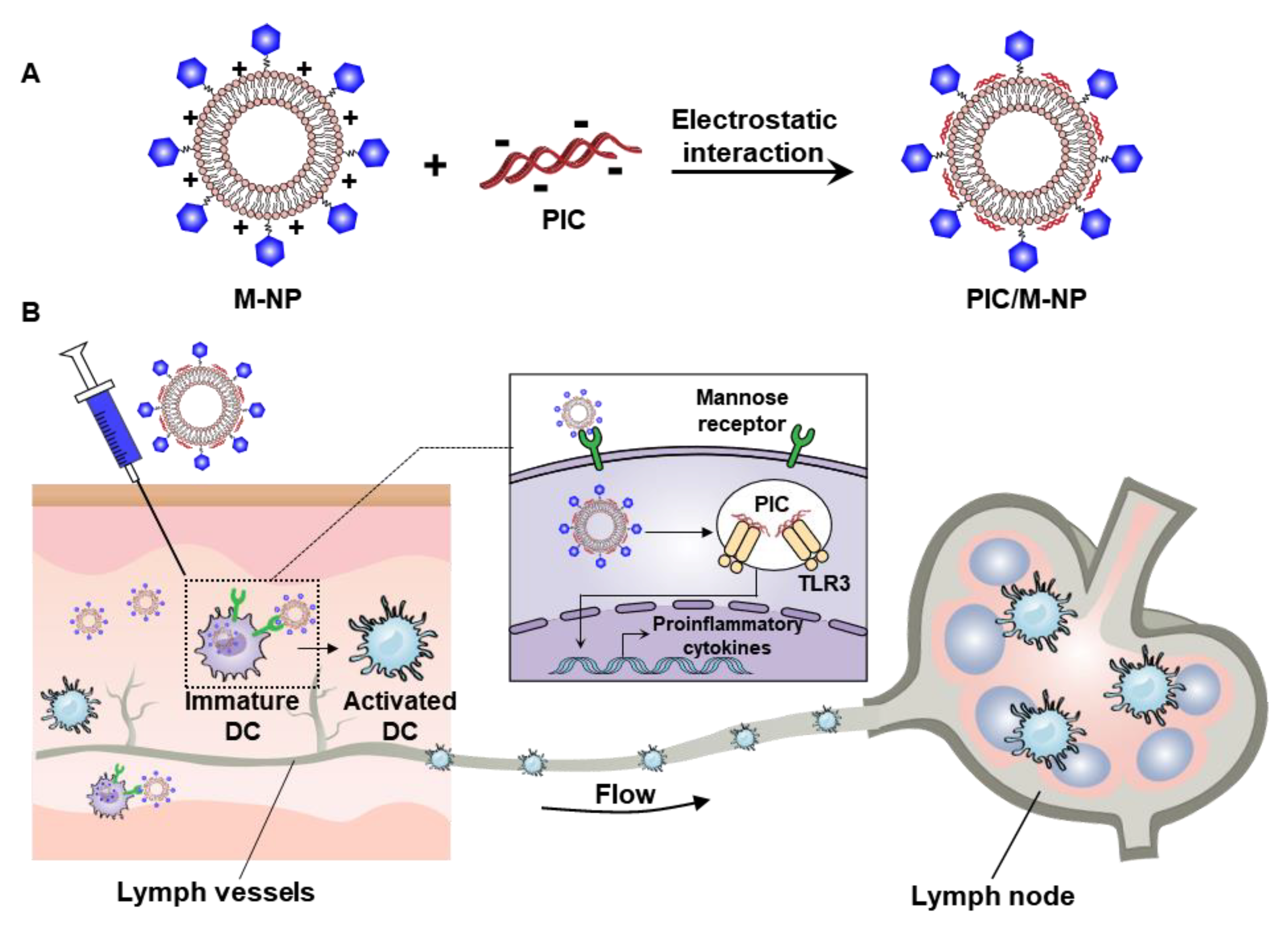 Pharmaceutics 13 00490 g001