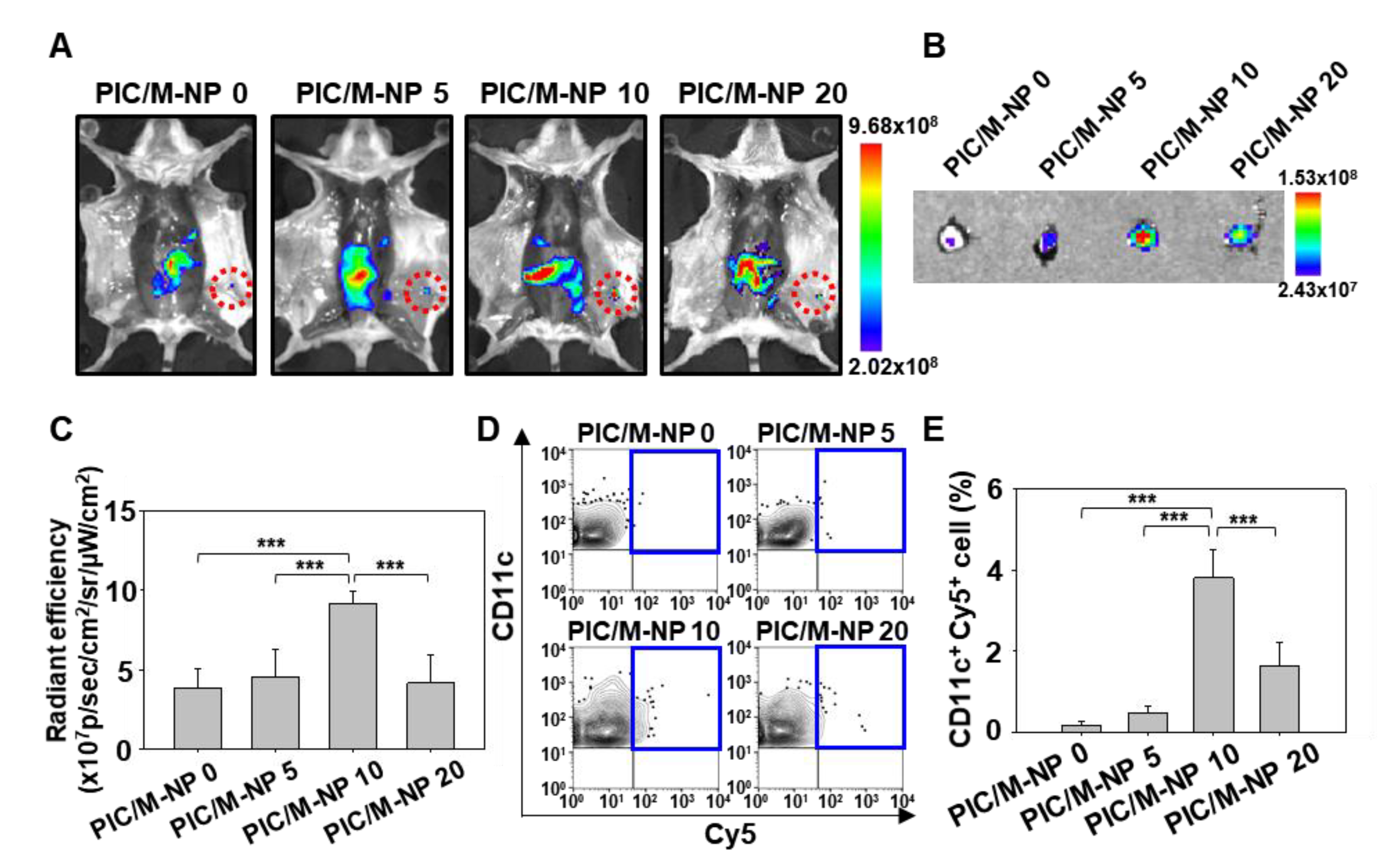 Pharmaceutics 13 00490 g006
