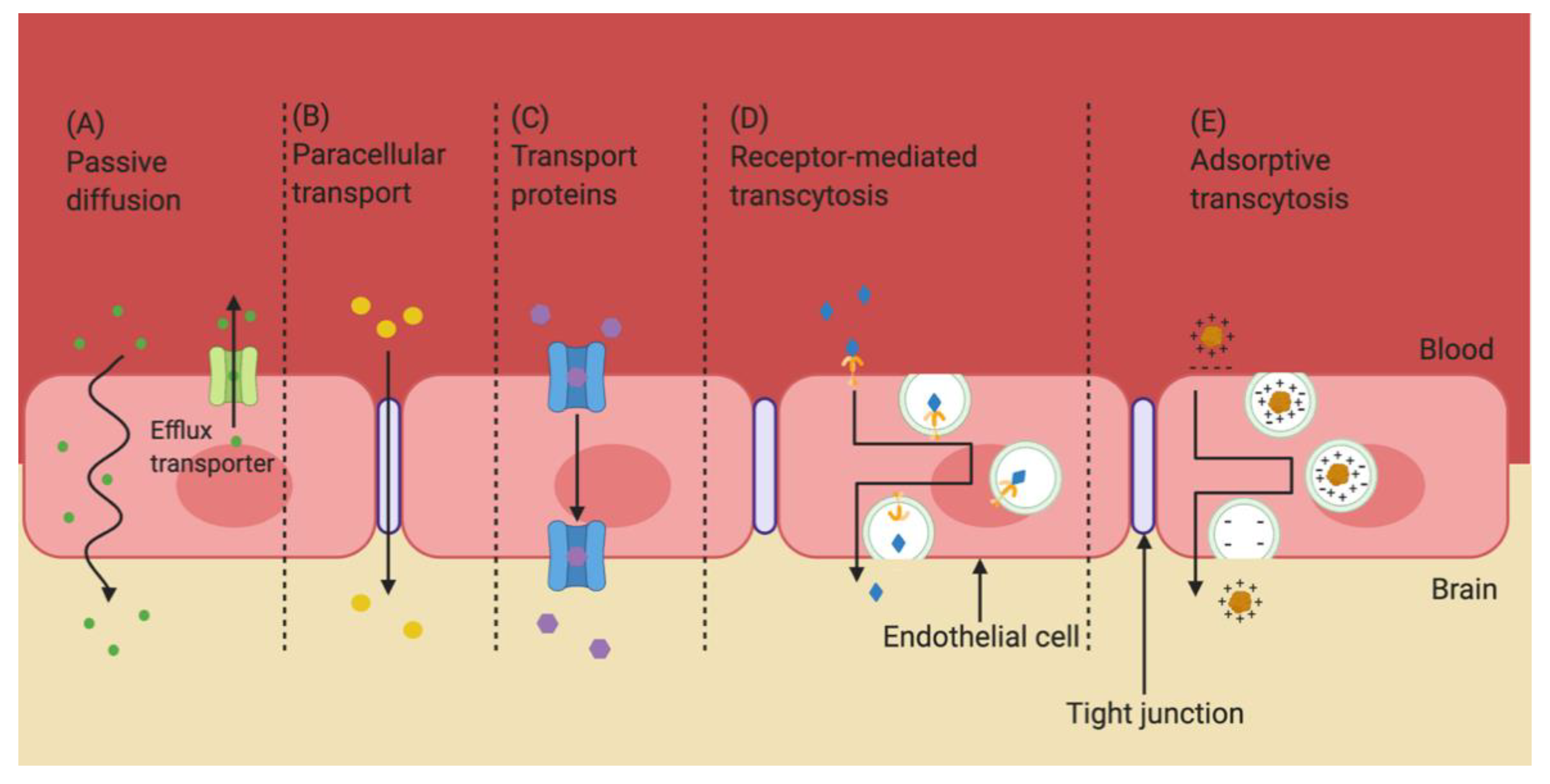 Pharmaceutics 13 00492 g002