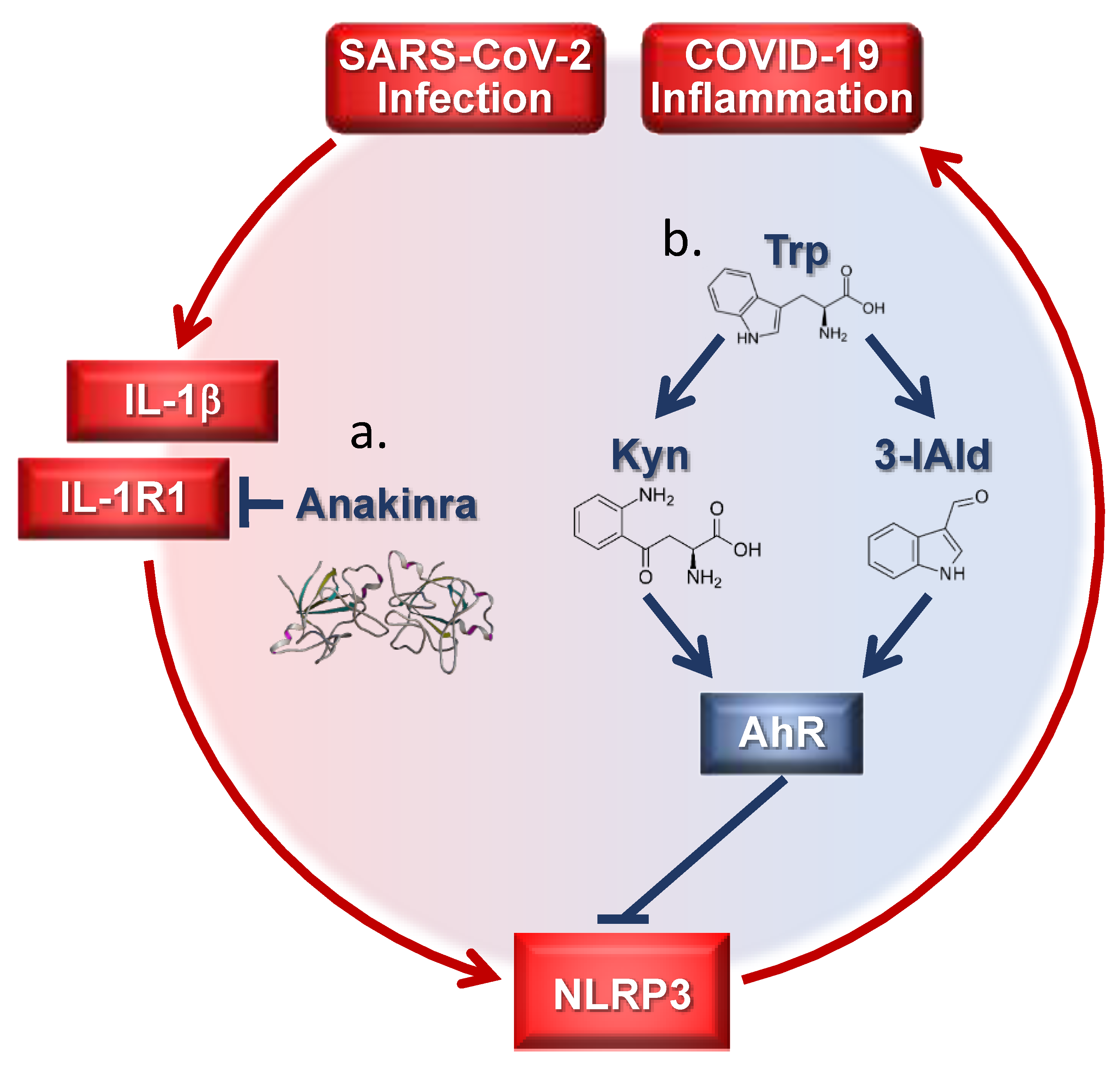 Pharmaceutics 13 00494 g001