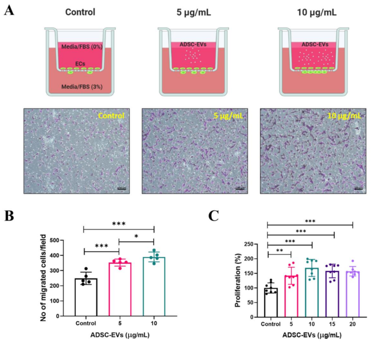Pharmaceutics 13 00495 g004 Pharmaceutics 13 00495 g004
