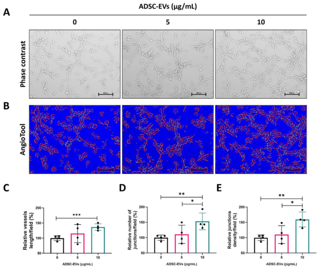 Pharmaceutics 13 00495 g005 Pharmaceutics 13 00495 g005
