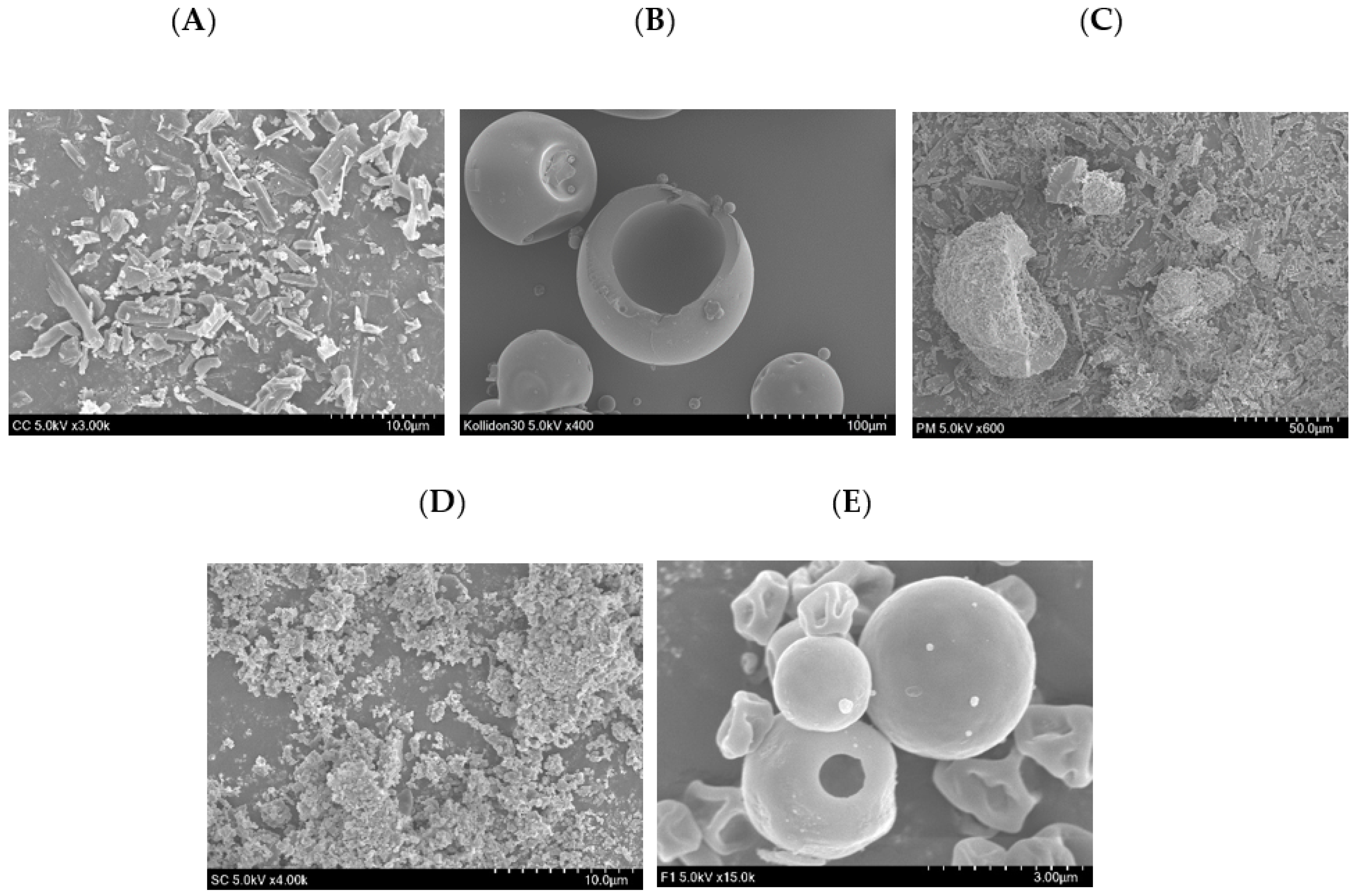 Pharmaceutics 13 00497 g006