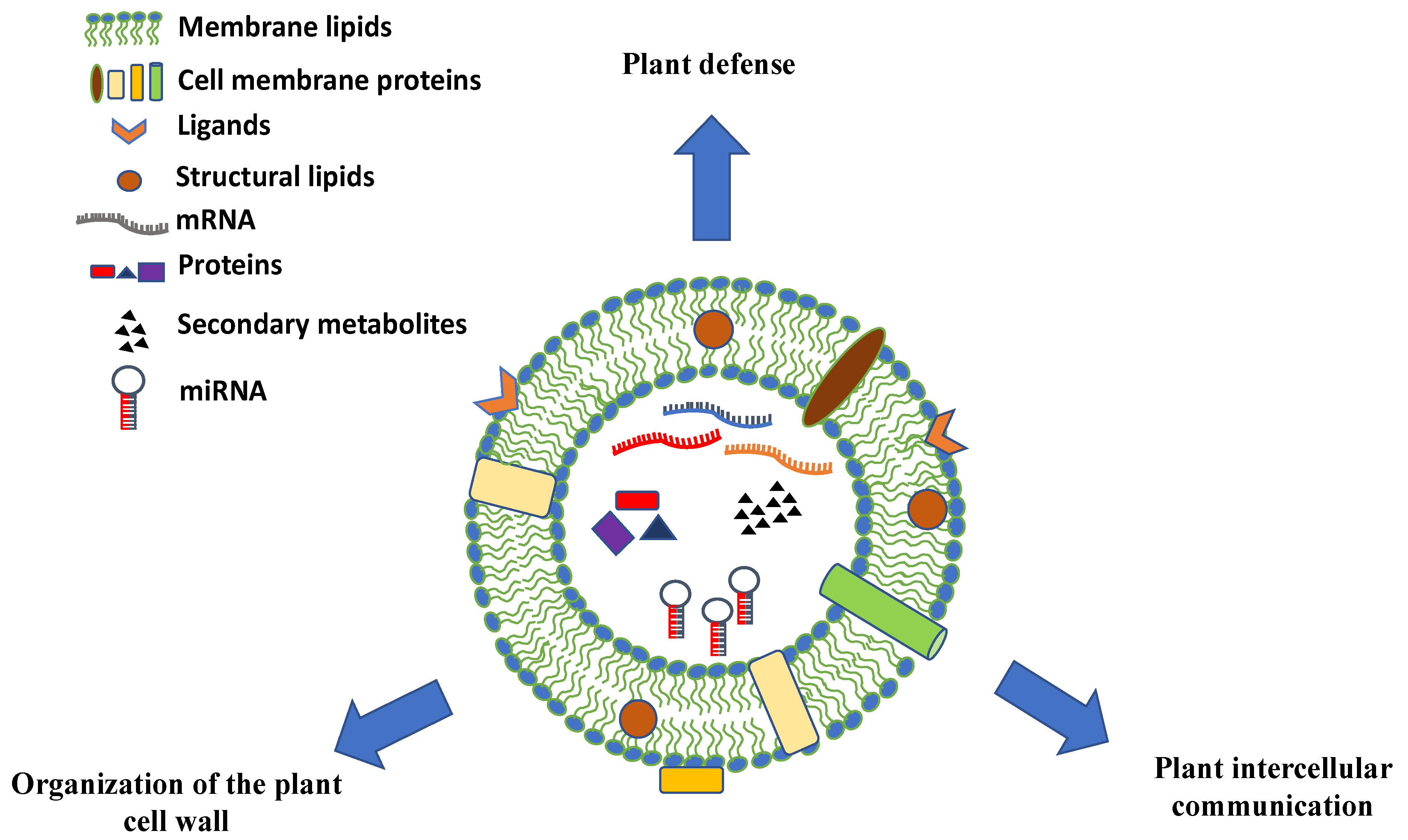 Pharmaceutics 13 00498 g003