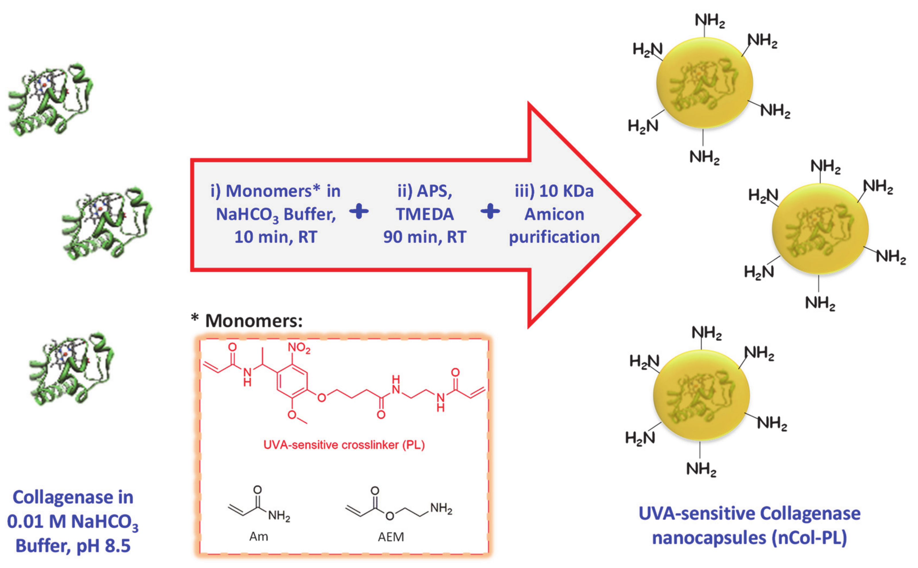 Pharmaceutics 13 00499 g002