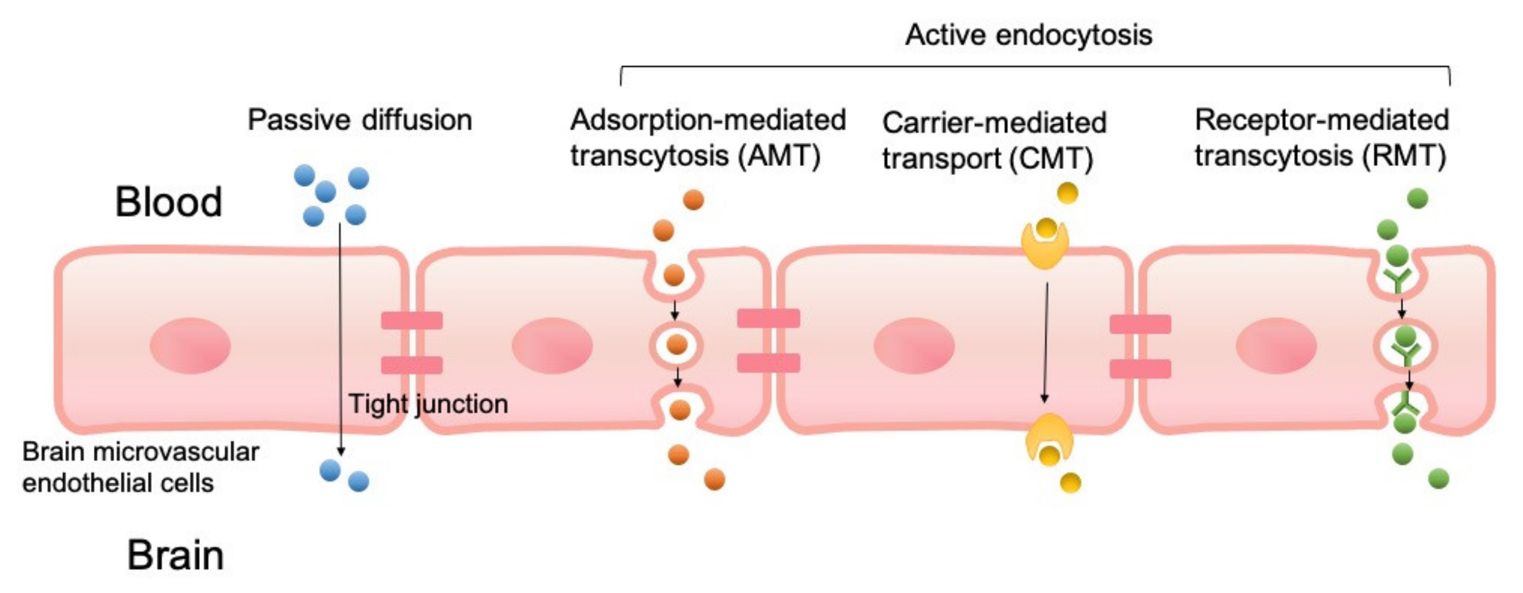 Pharmaceutics 13 00500 g001 Pharmaceutics 13 00500 g001