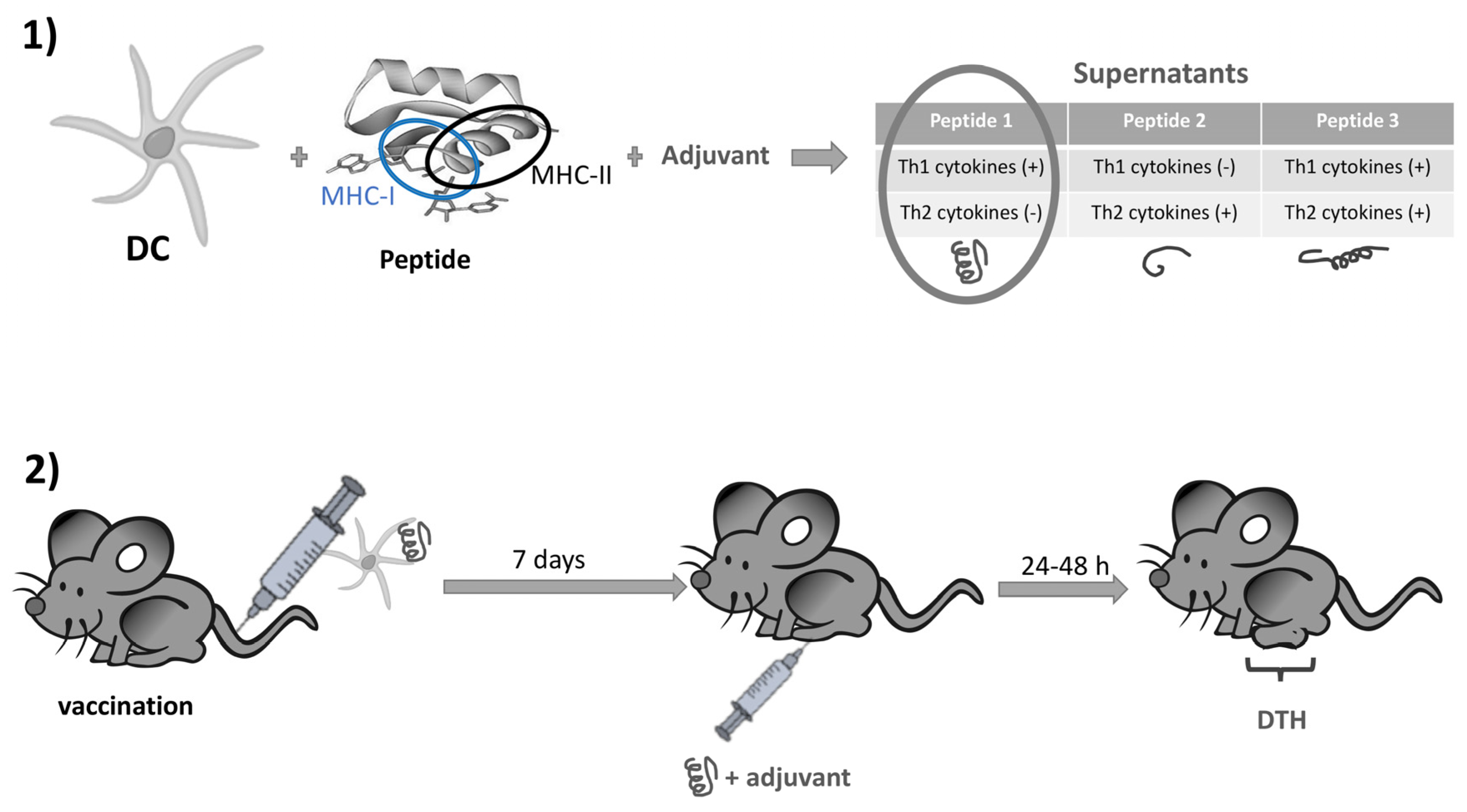 Pharmaceutics 13 00501 g002