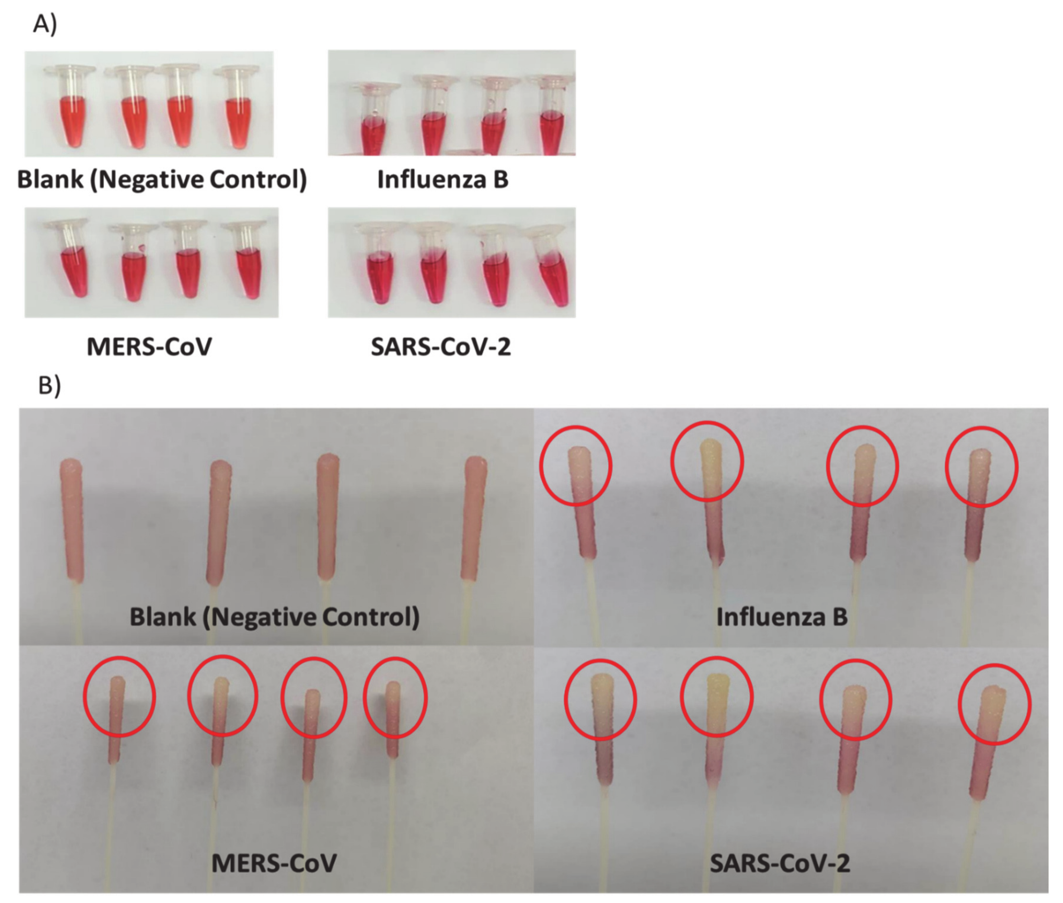 Pharmaceutics 13 00502 g006