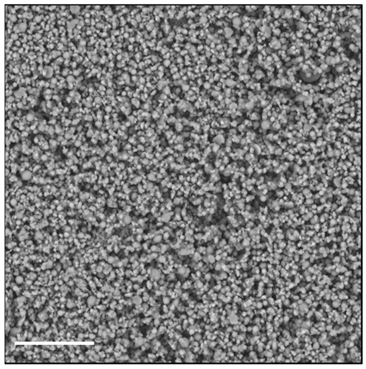 Pharmaceutics 13 00503 g002