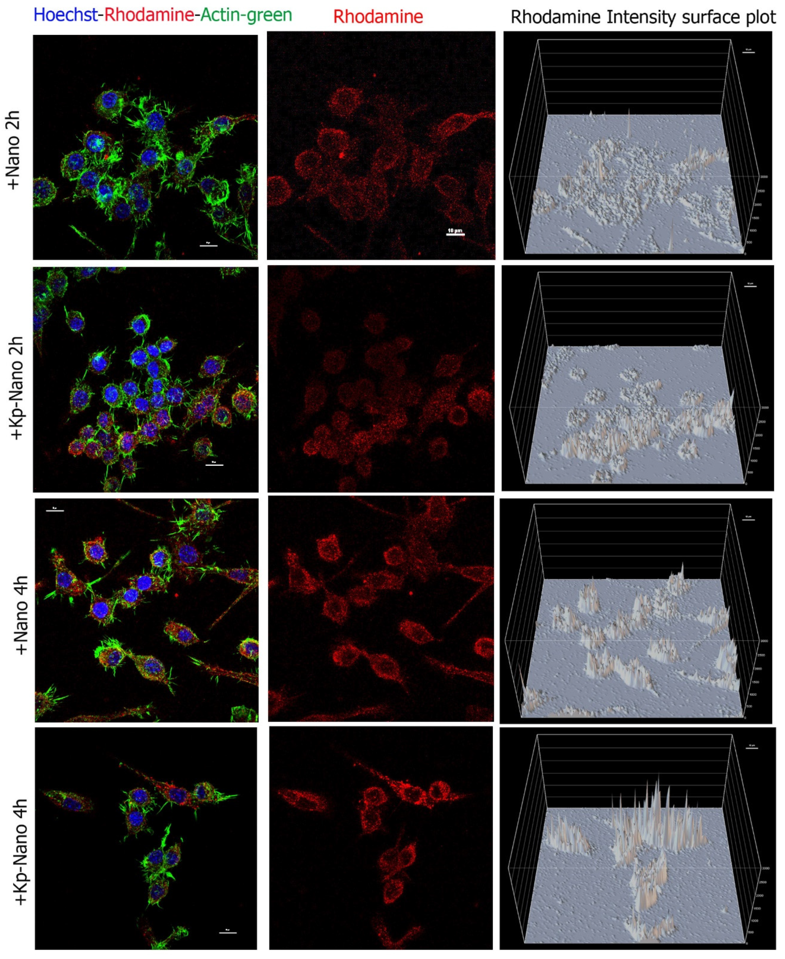 Pharmaceutics 13 00503 g005