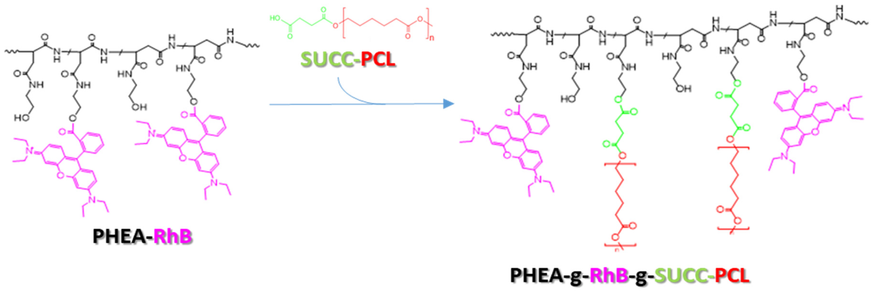 Pharmaceutics 13 00503 sch001