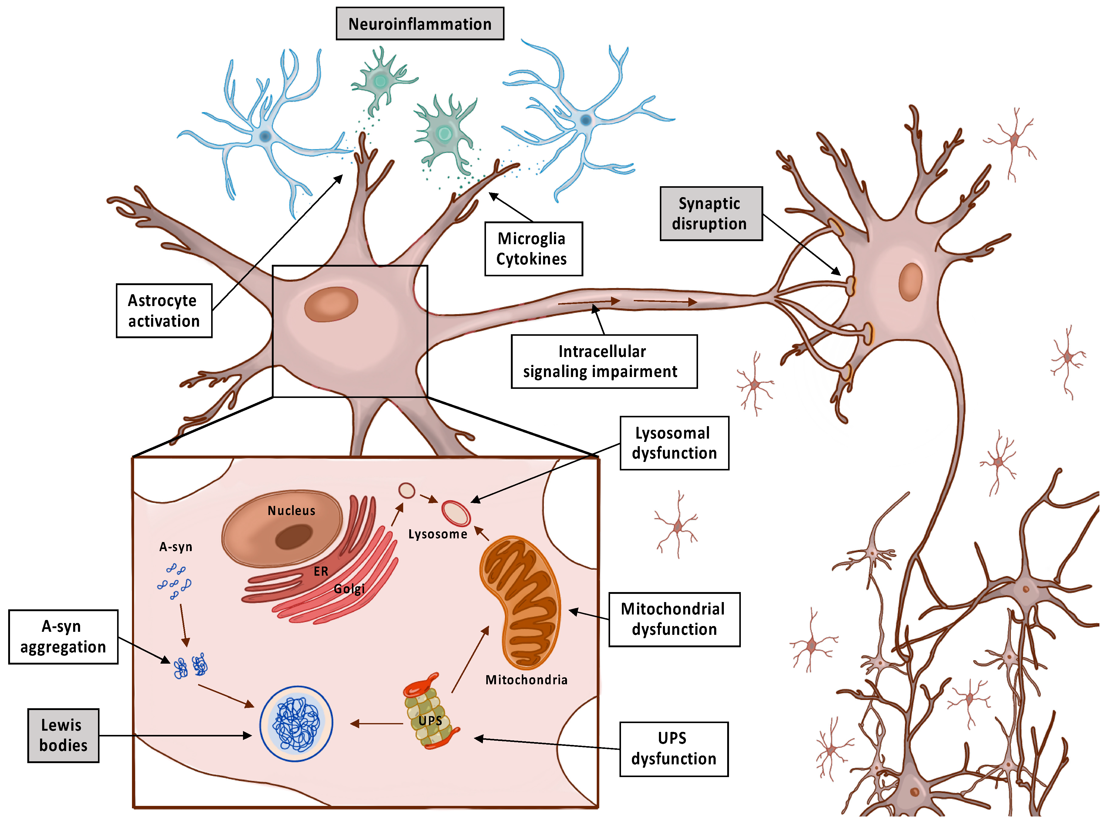 Pharmaceutics 13 00508 g001