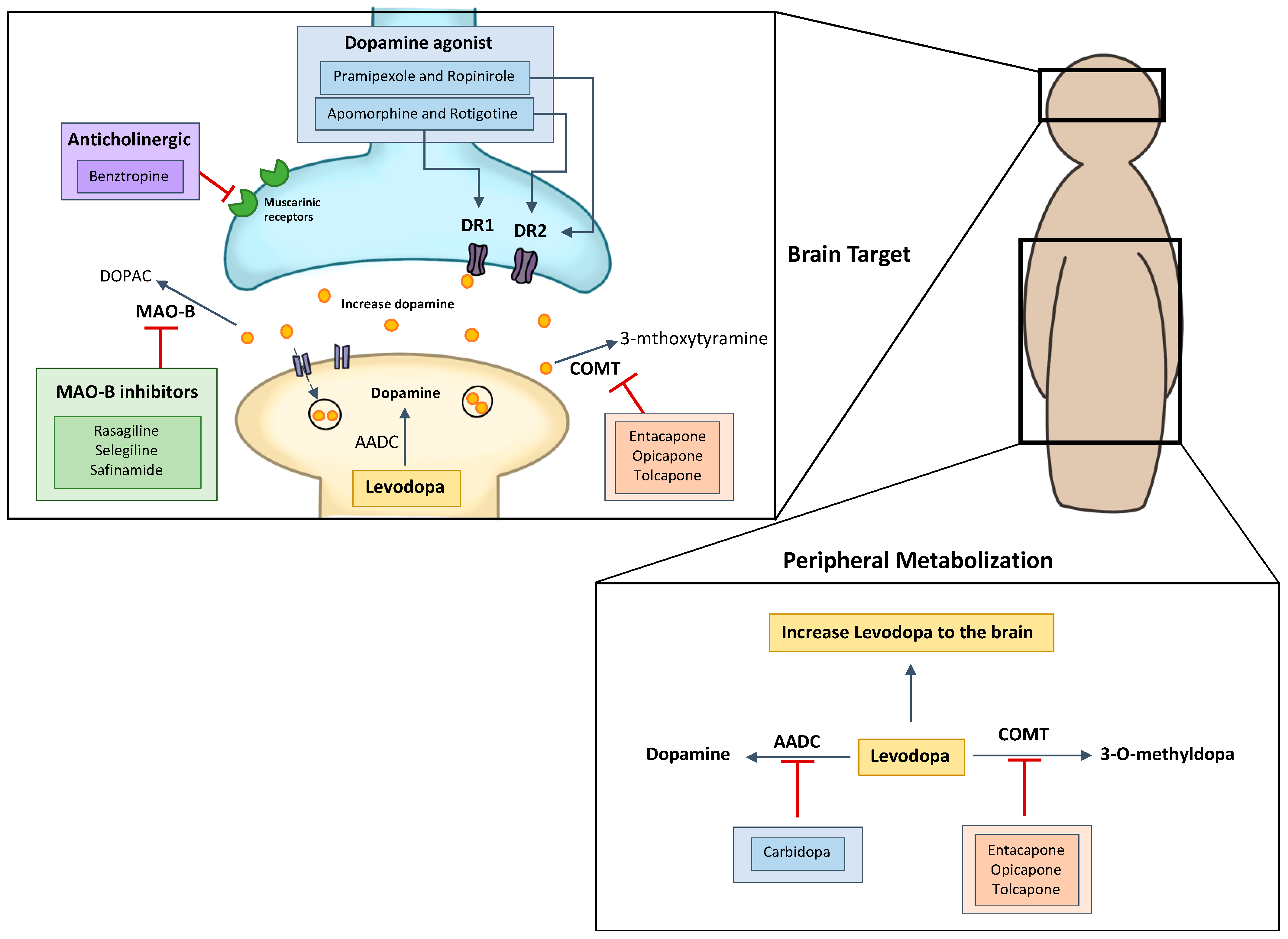 Pharmaceutics 13 00508 g003