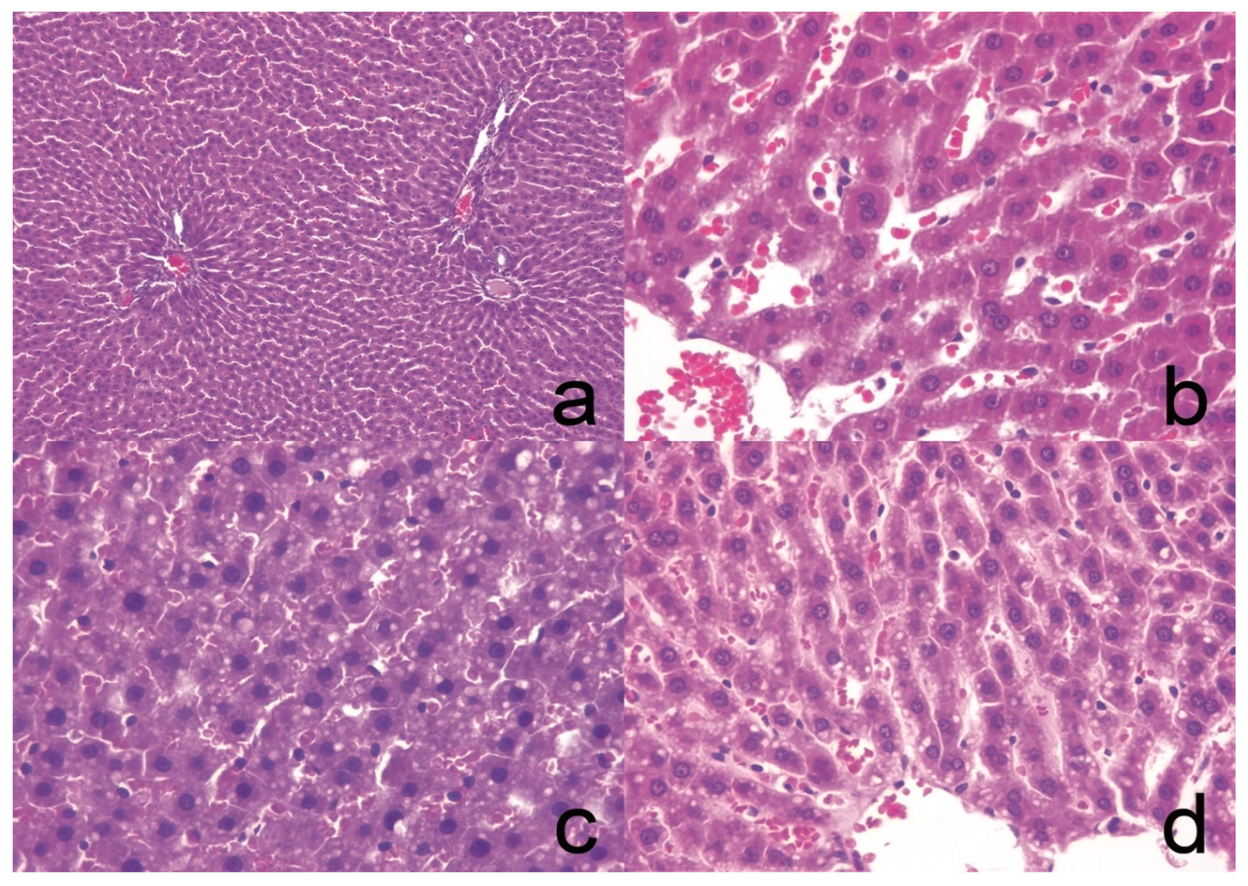 Pharmaceutics 13 00509 g003