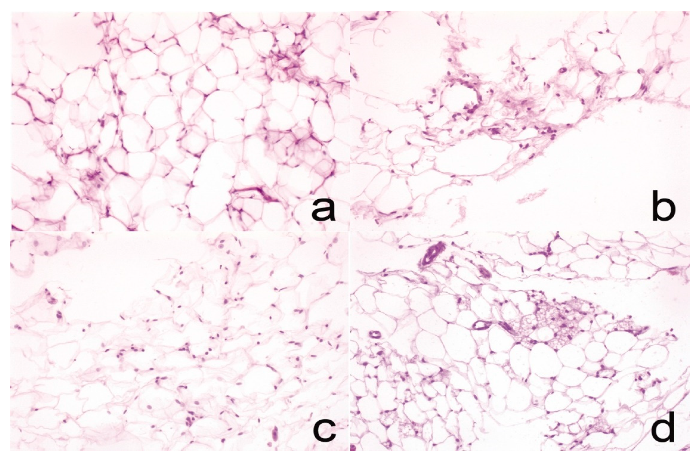 Pharmaceutics 13 00509 g004
