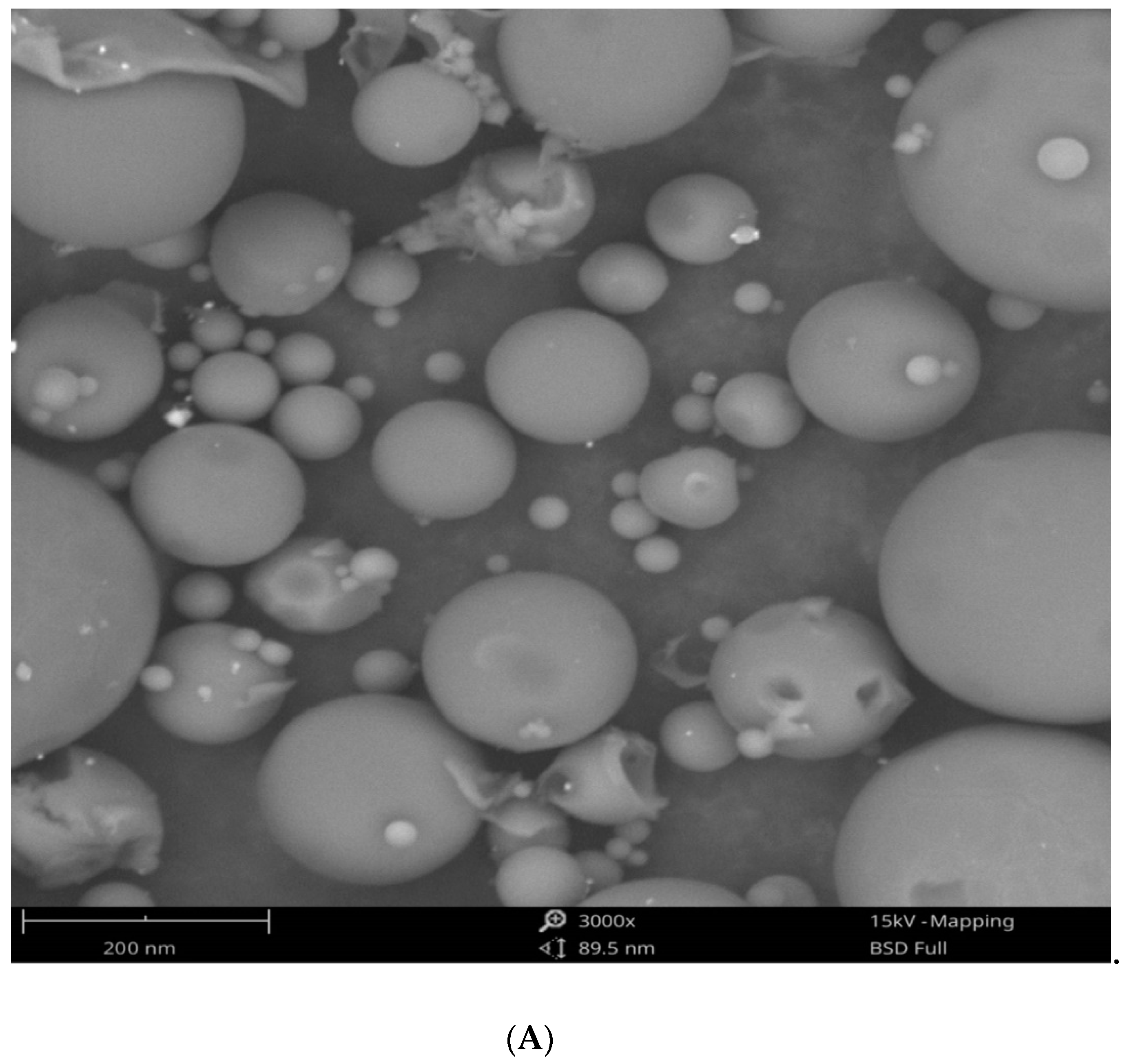 Pharmaceutics 13 00511 g006a