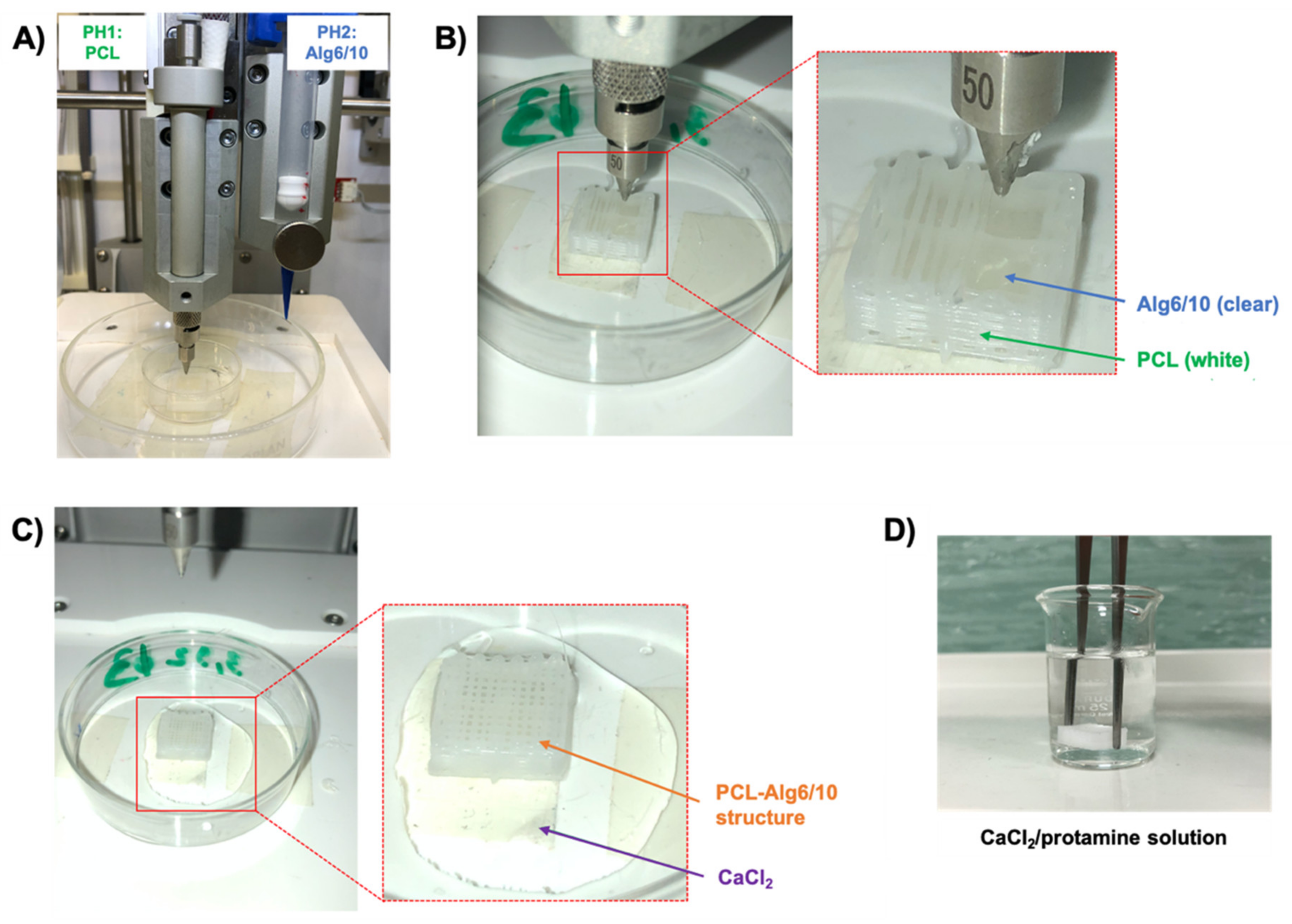 Pharmaceutics 13 00515 g003 Pharmaceutics 13 00515 g003