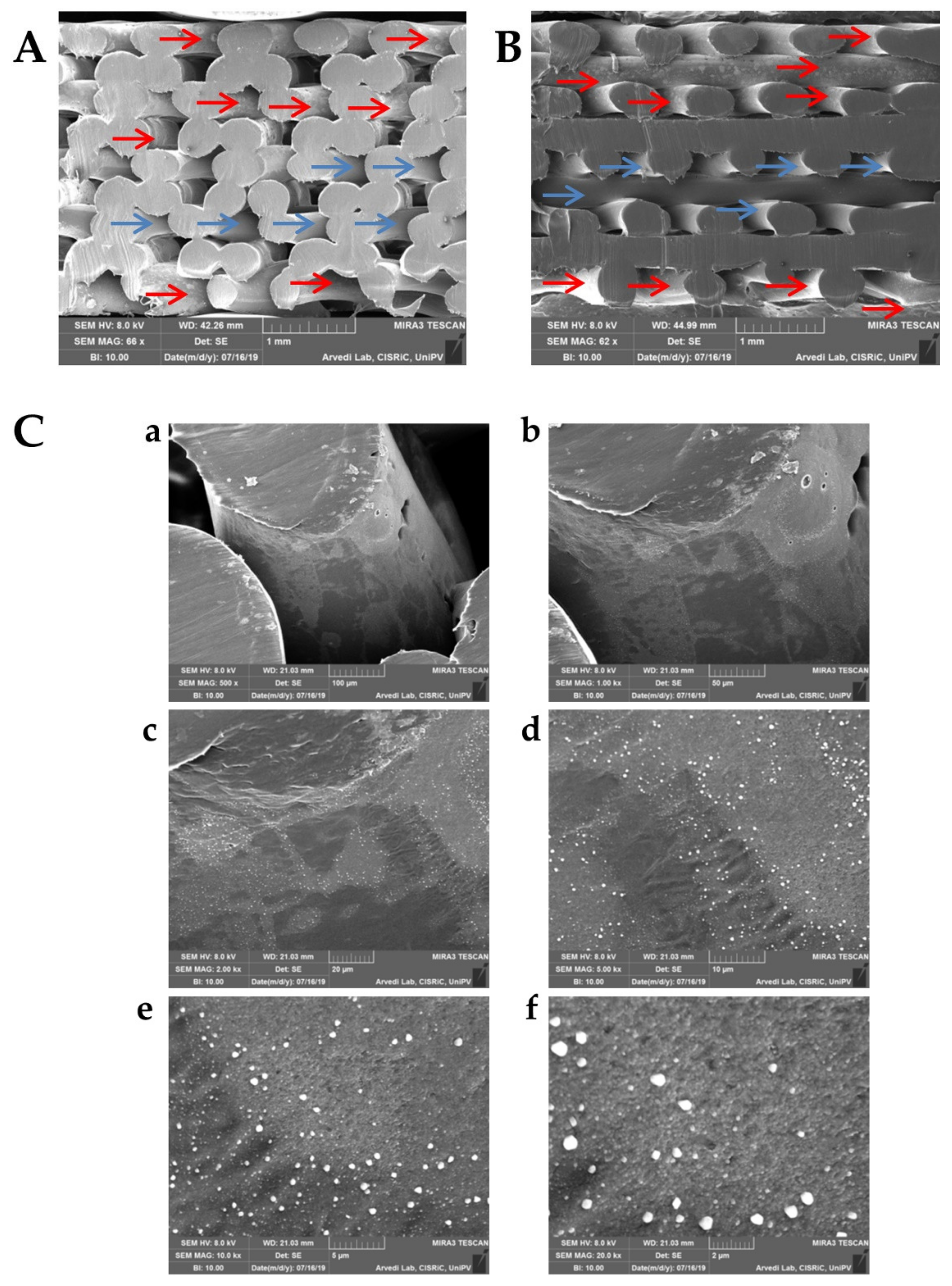 Pharmaceutics 13 00515 g004 Pharmaceutics 13 00515 g004