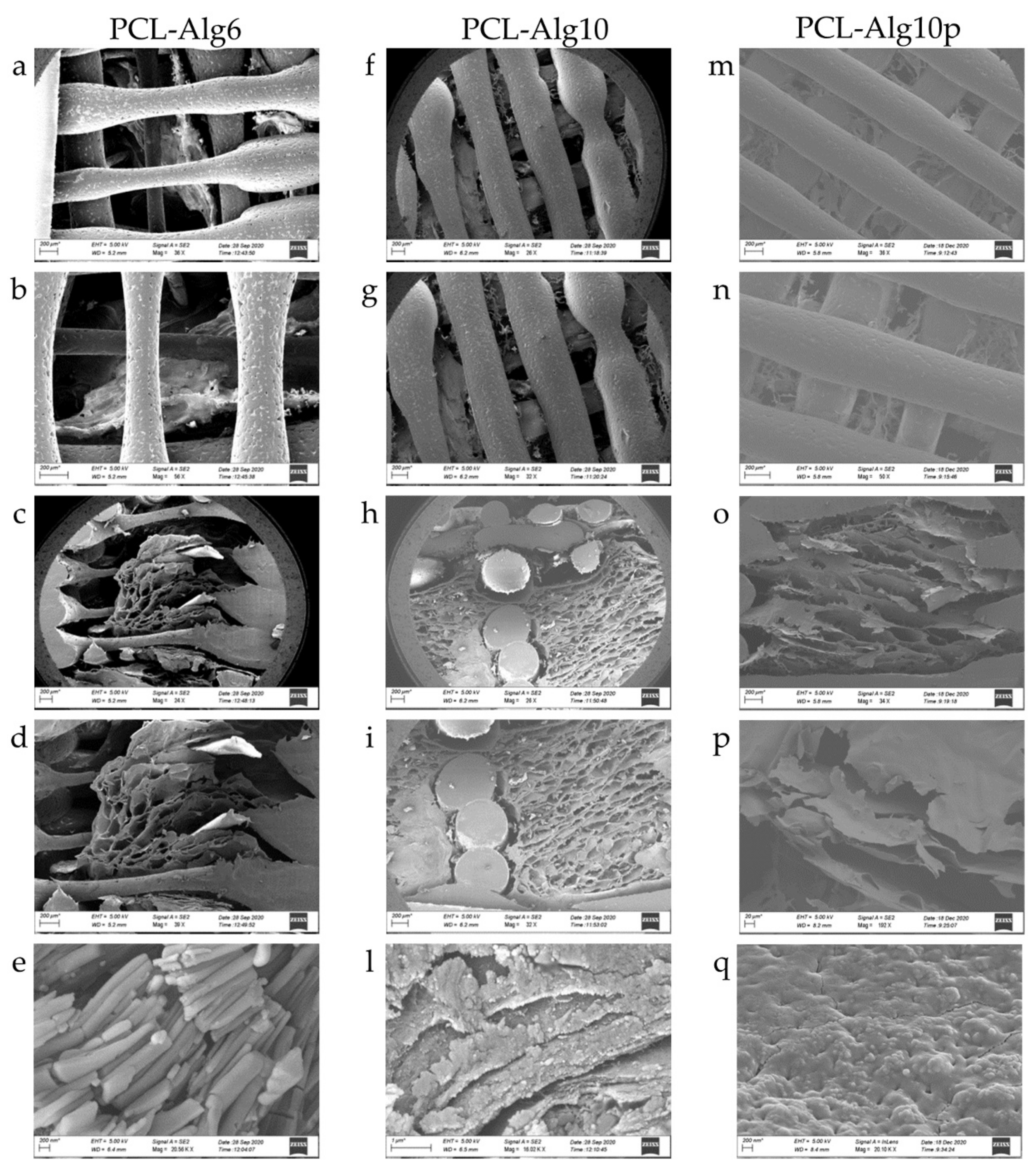 Pharmaceutics 13 00515 g006 Pharmaceutics 13 00515 g006