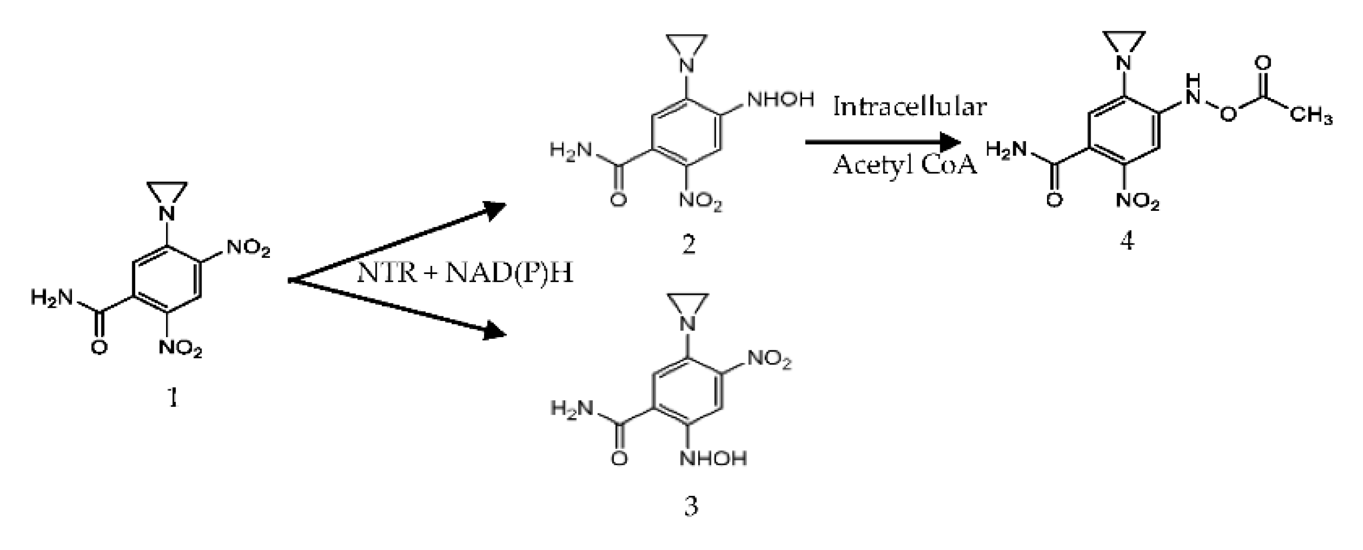 Pharmaceutics 13 00517 g001