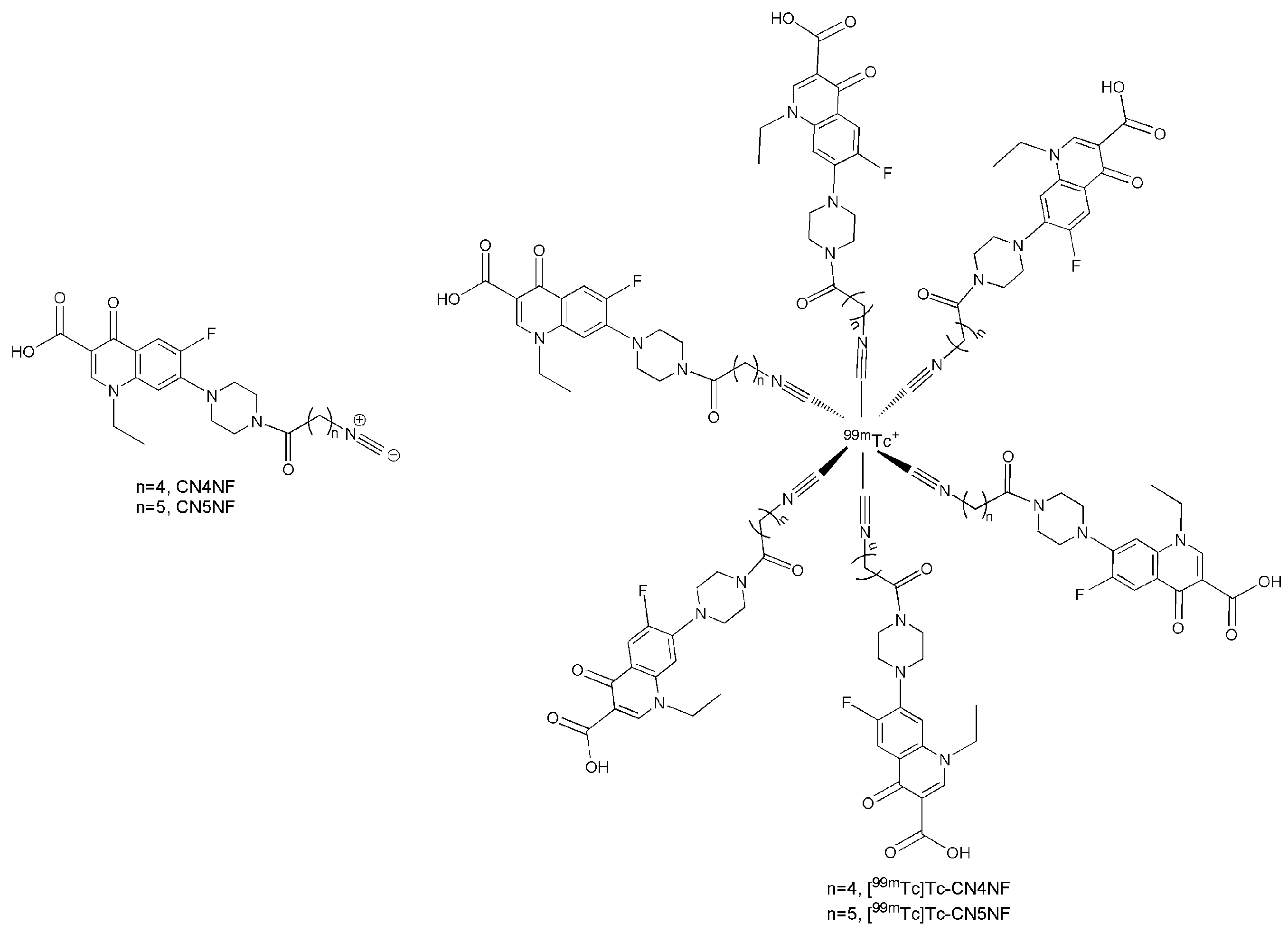 Pharmaceutics 13 00518 g001