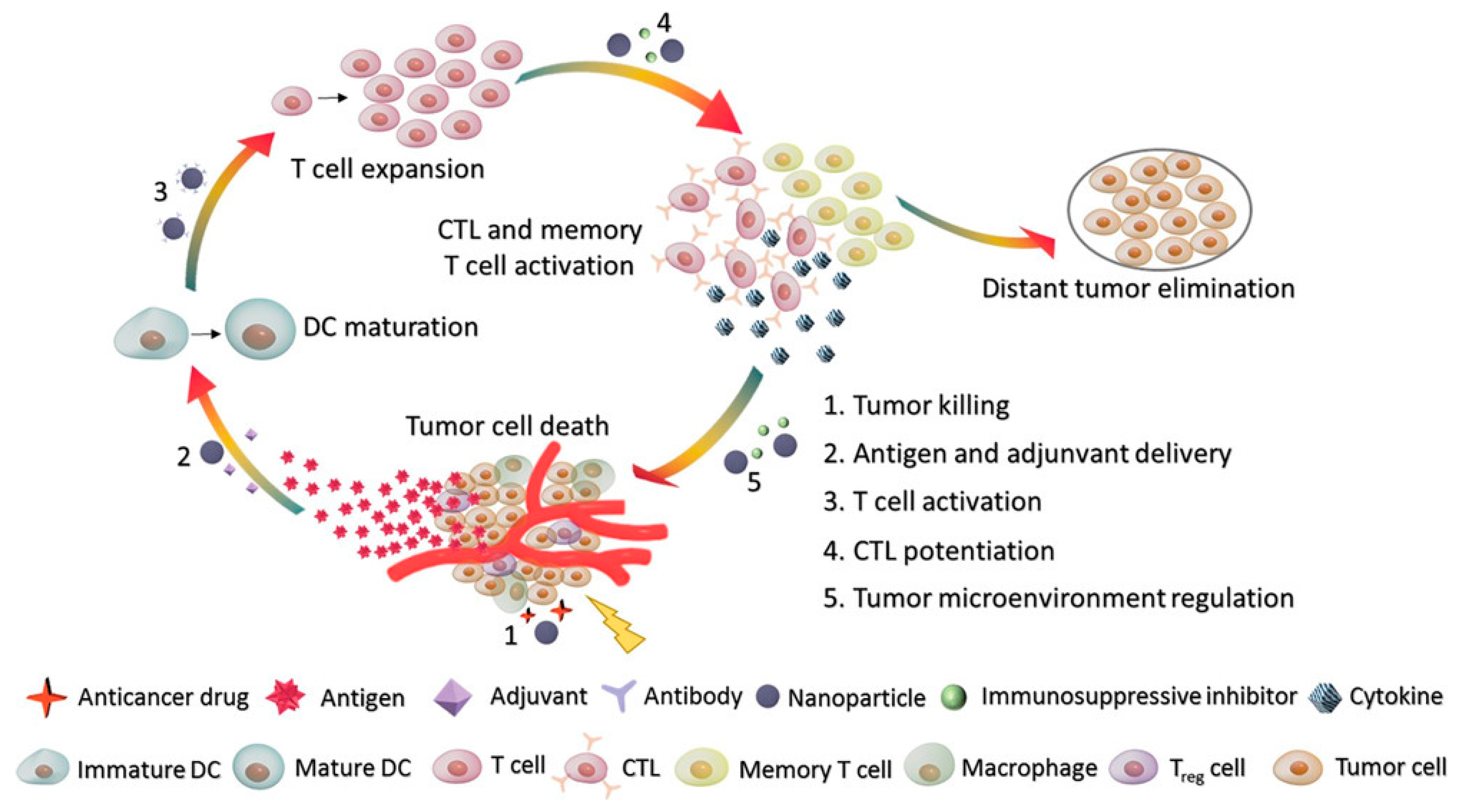 Pharmaceutics 13 00520 g001