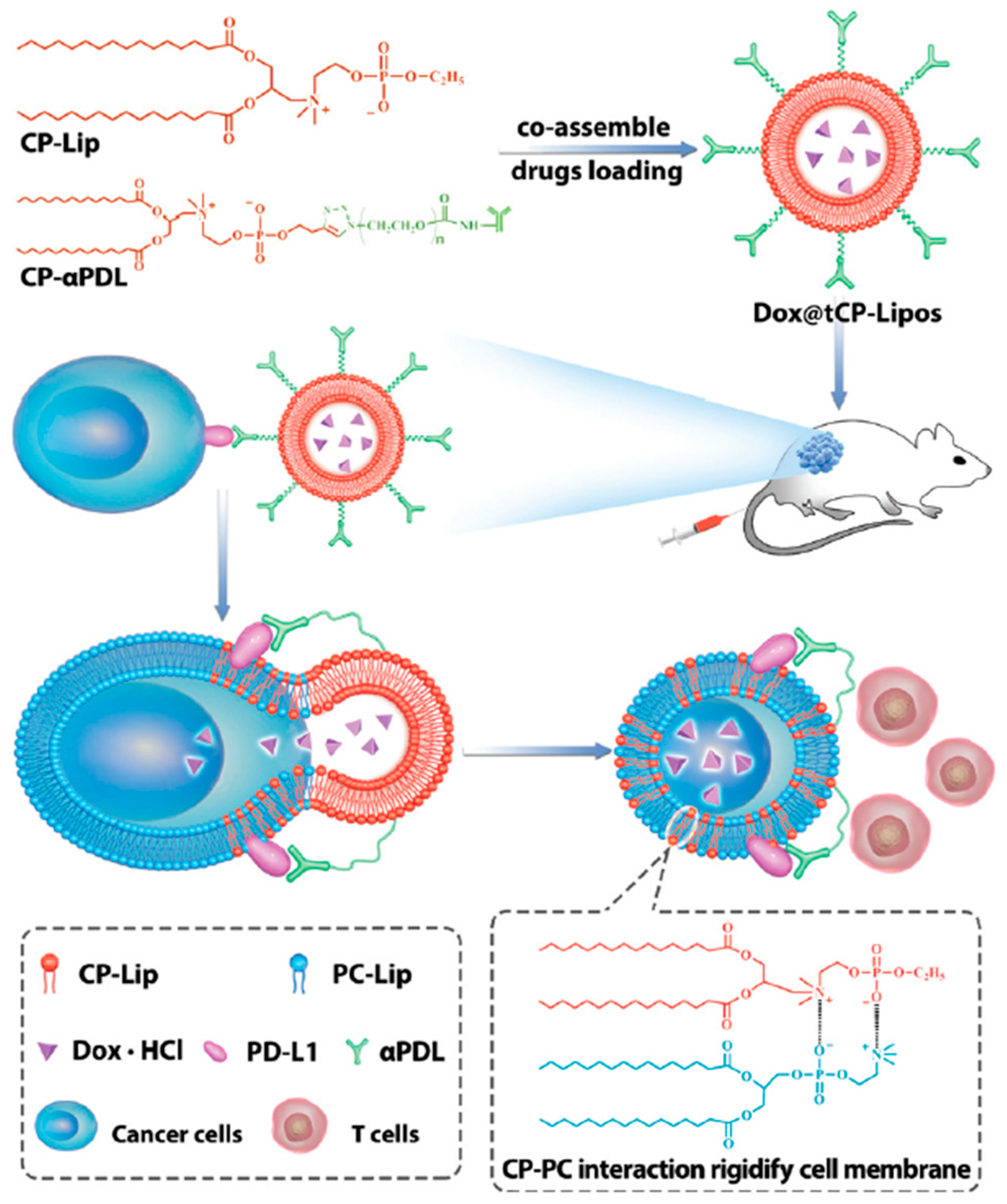 Pharmaceutics 13 00520 g003