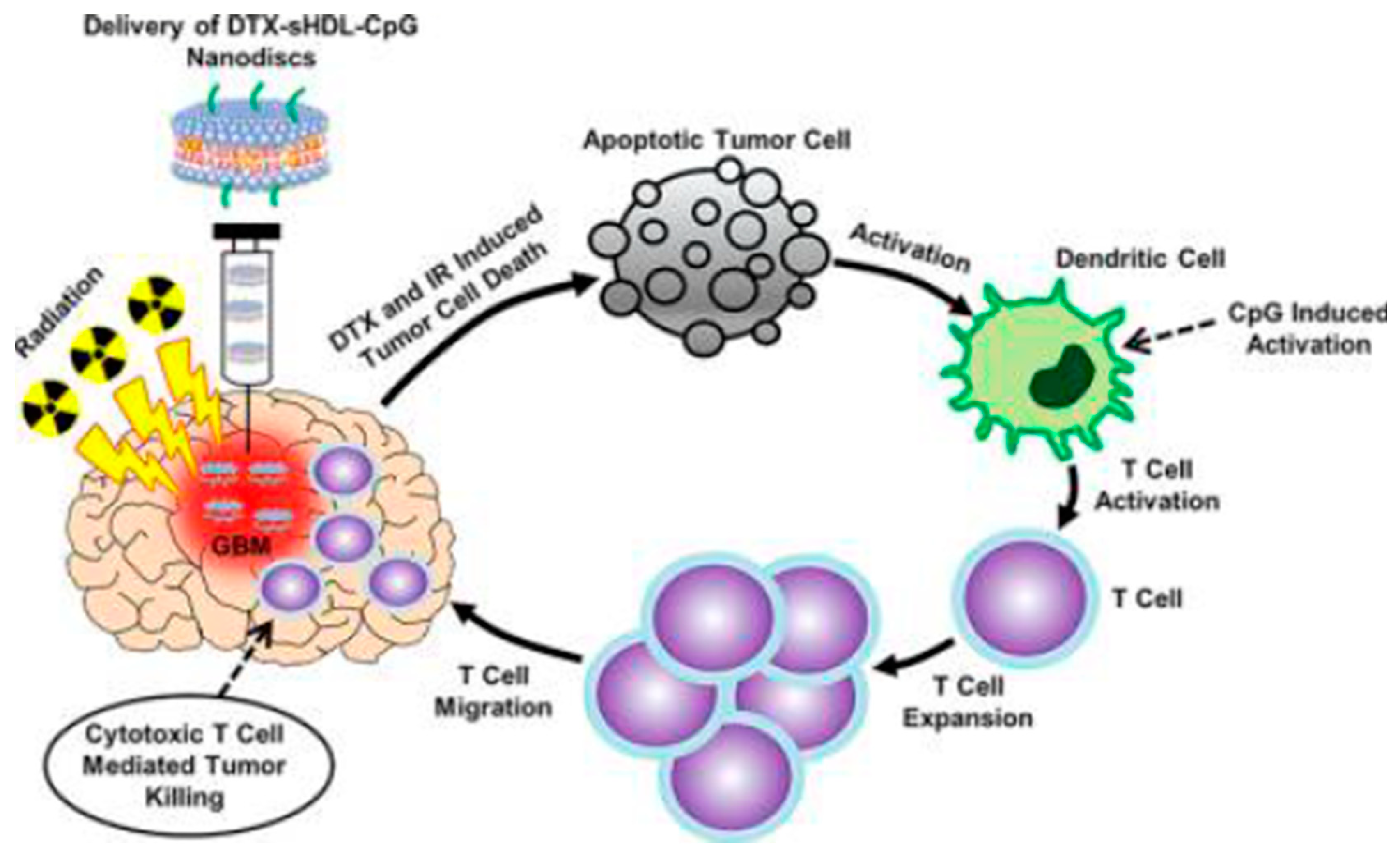 Pharmaceutics 13 00520 g005