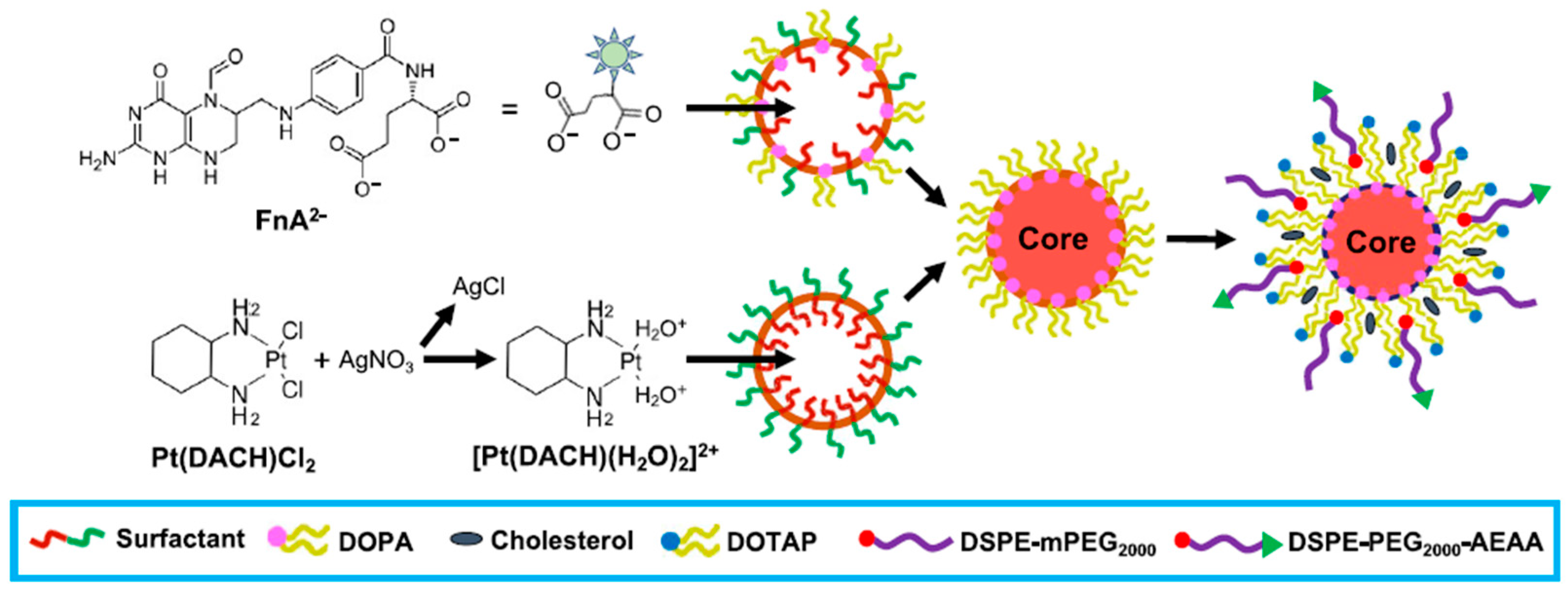 Pharmaceutics 13 00520 g006