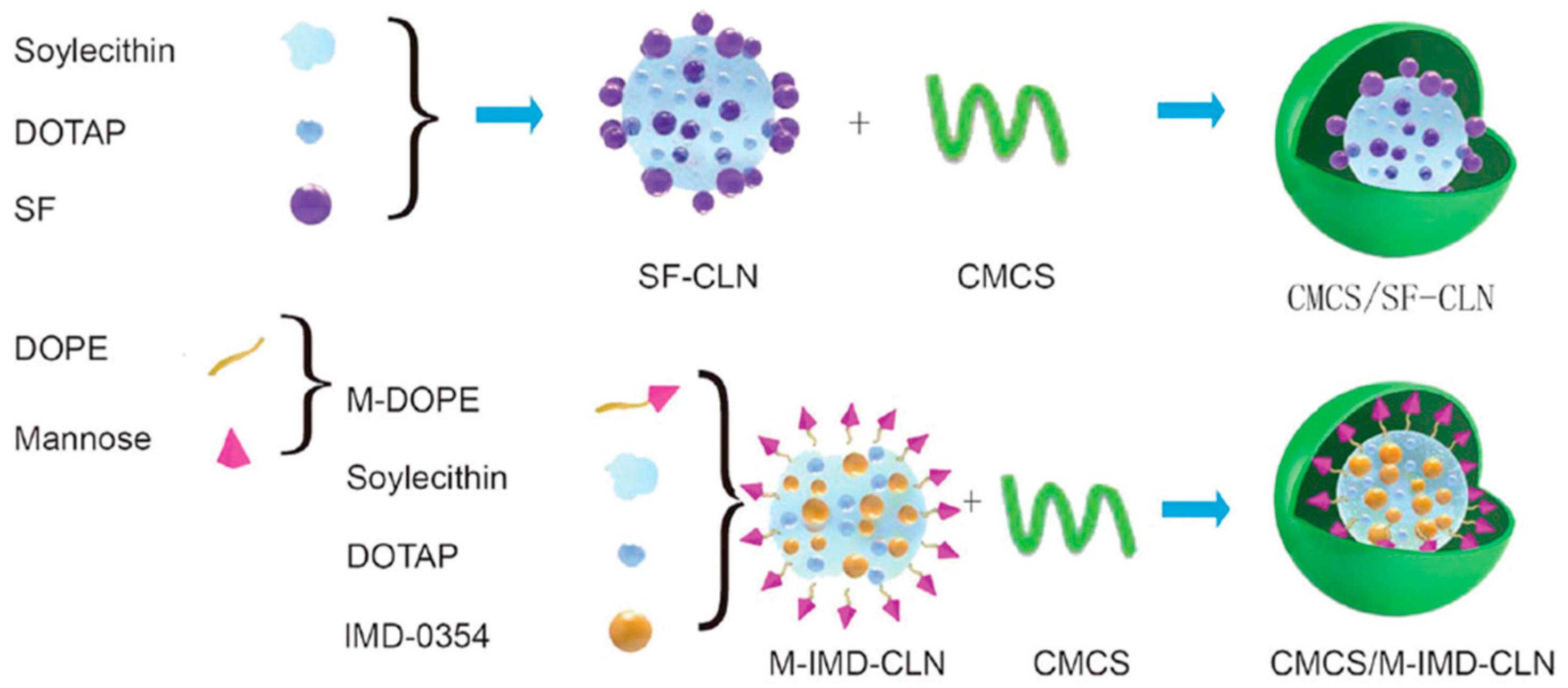 Pharmaceutics 13 00520 g007