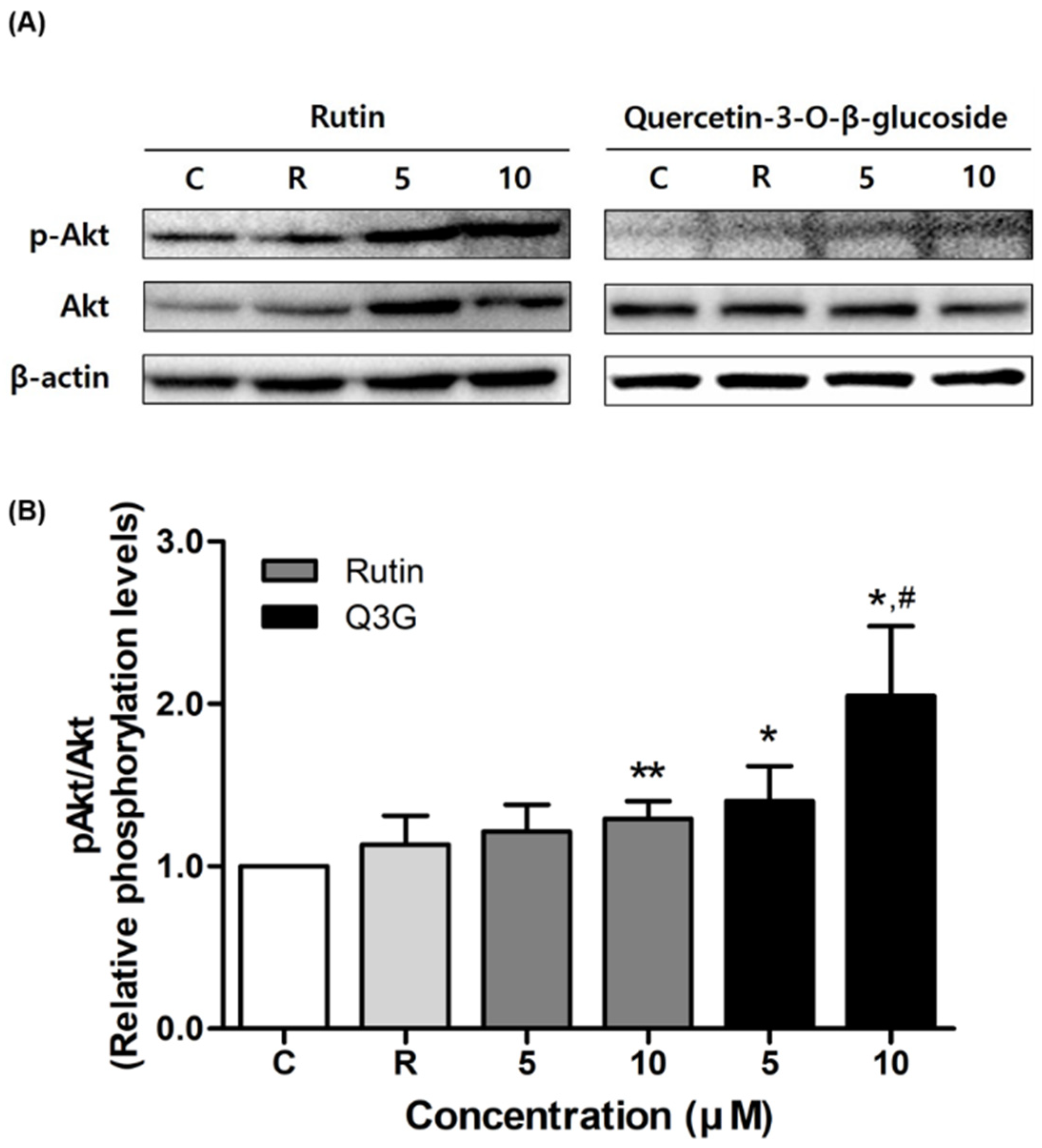 Pharmaceutics 13 00526 g004