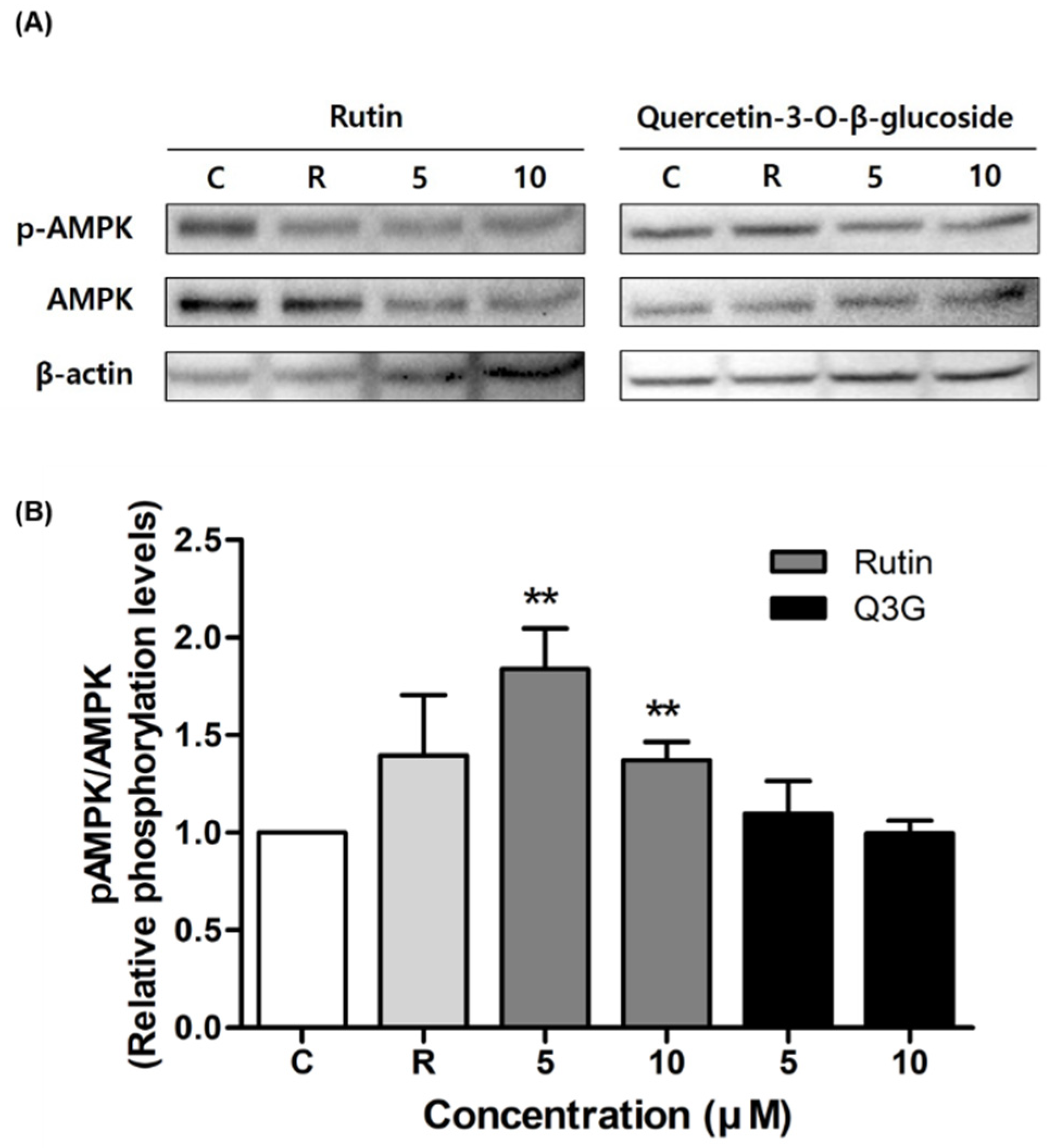 Pharmaceutics 13 00526 g005