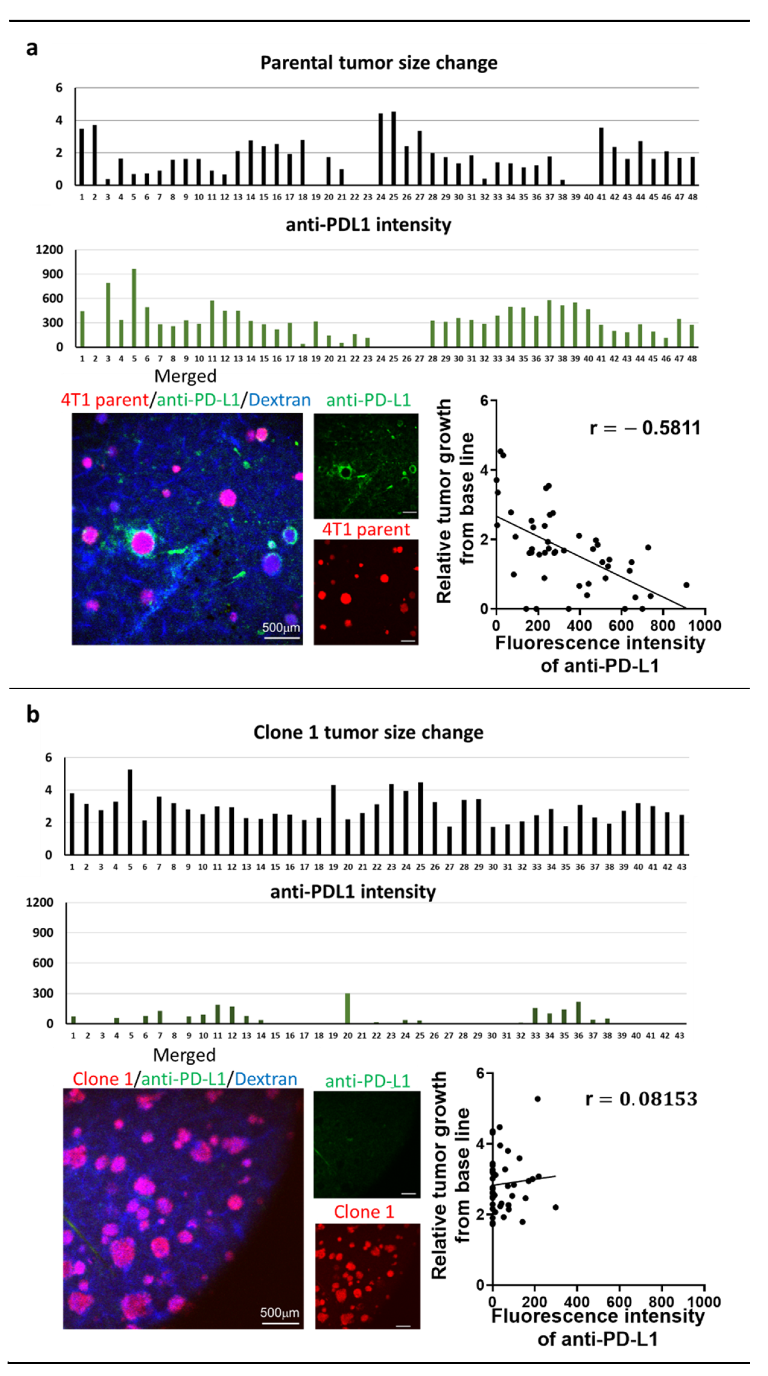 Pharmaceutics 13 00530 g003a Pharmaceutics 13 00530 g003a