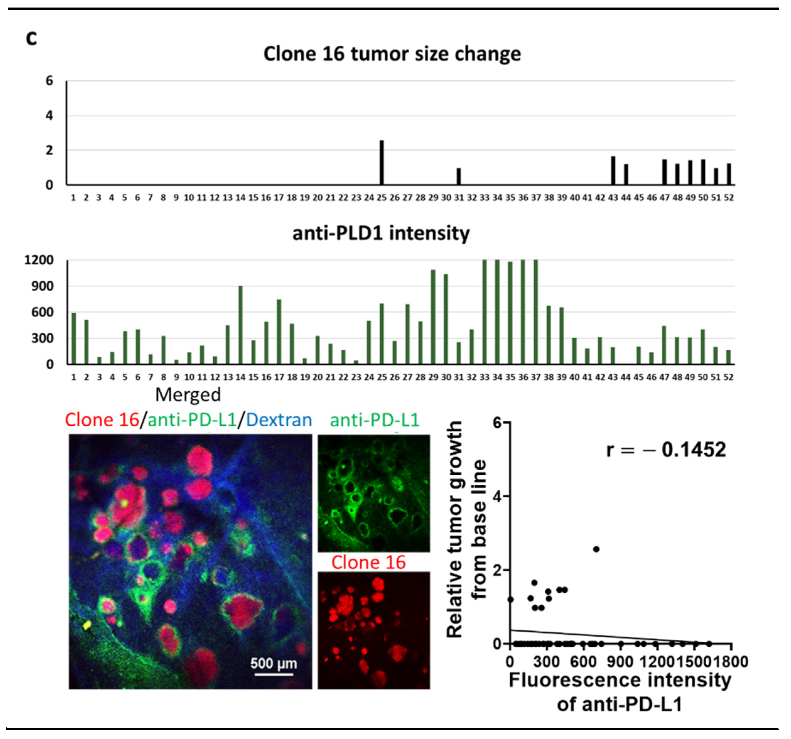 Pharmaceutics 13 00530 g003b Pharmaceutics 13 00530 g003b