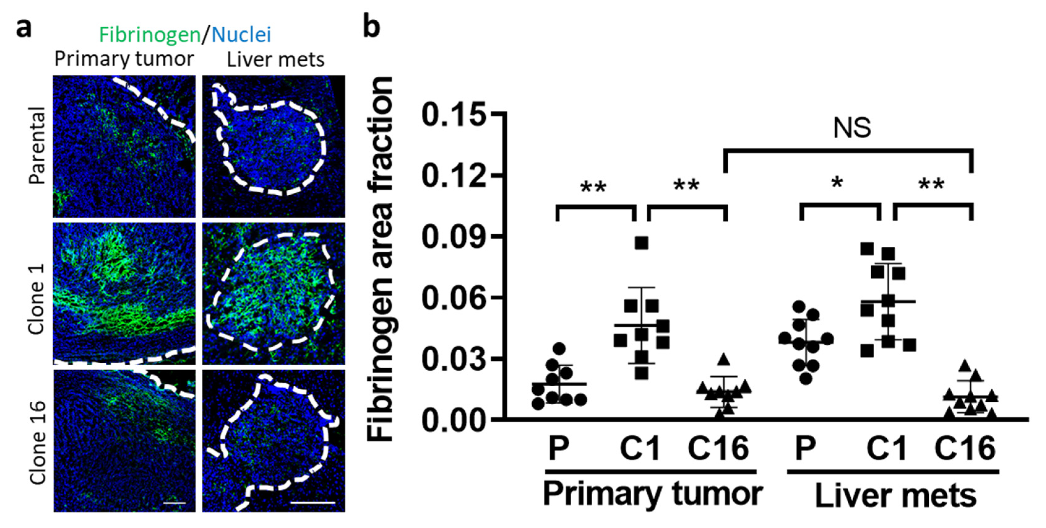 Pharmaceutics 13 00530 g004 Pharmaceutics 13 00530 g004