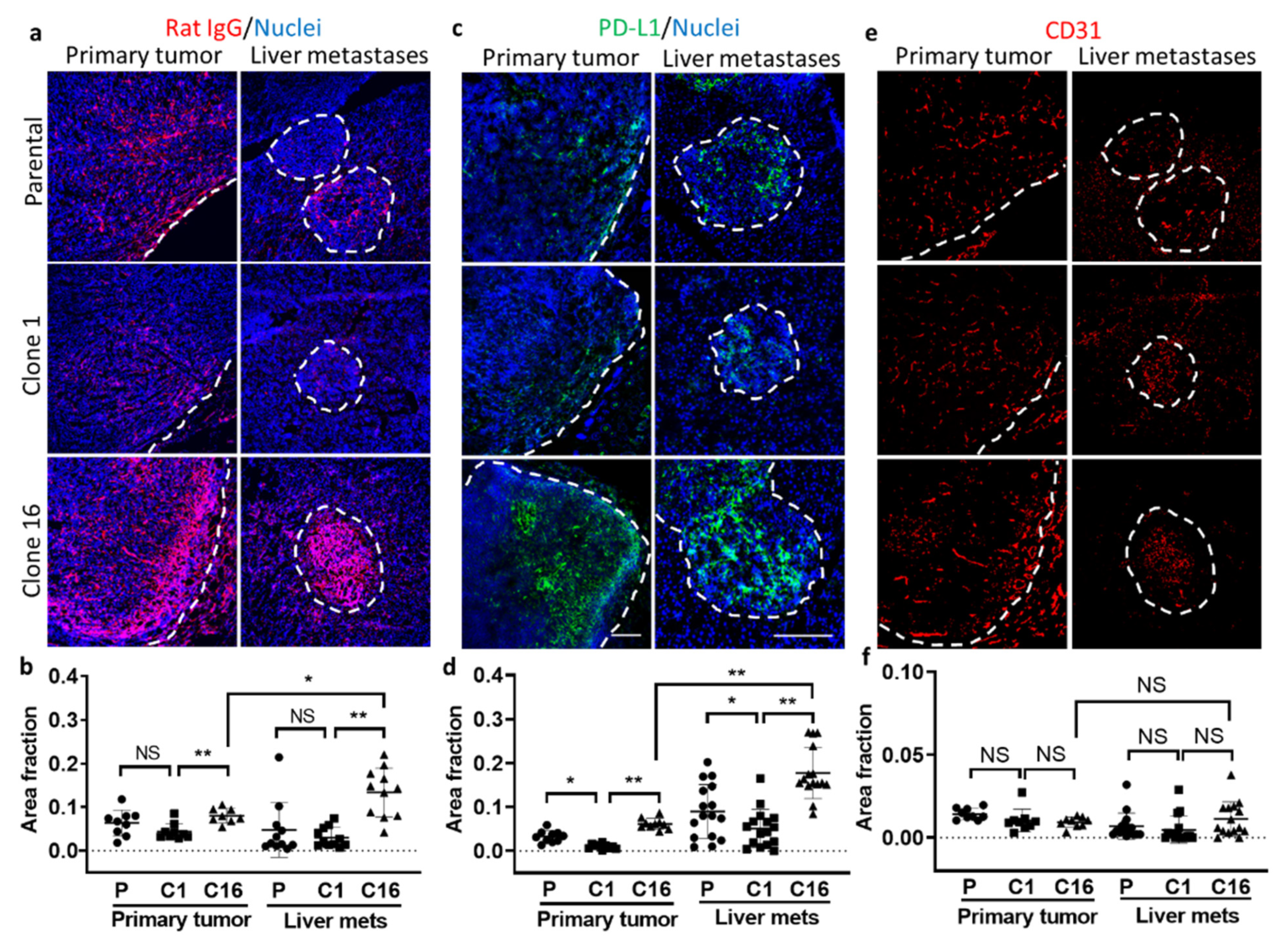 Pharmaceutics 13 00530 g005 Pharmaceutics 13 00530 g005