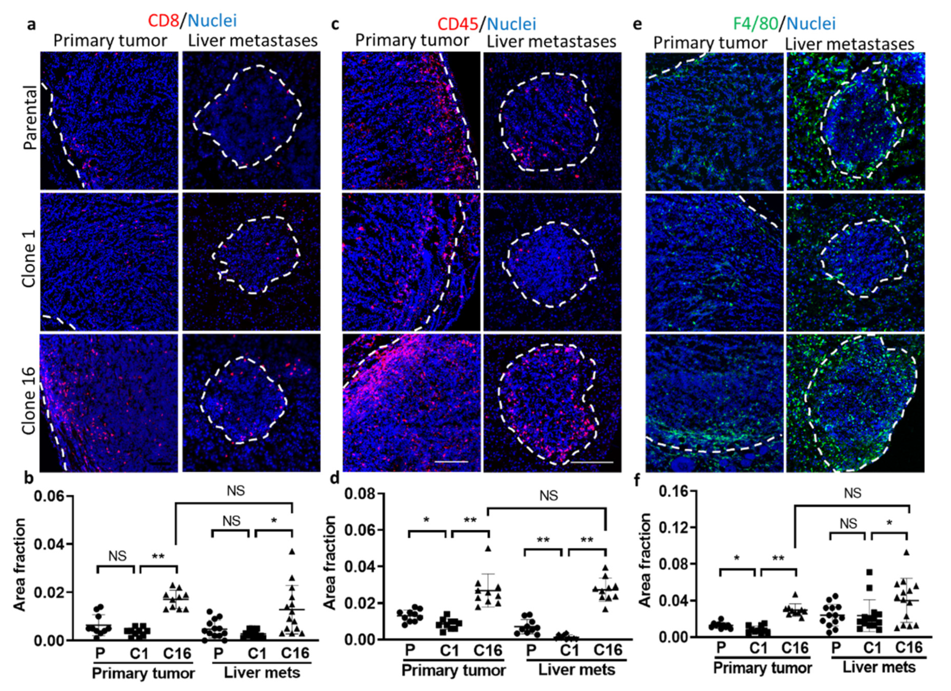 Pharmaceutics 13 00530 g006 Pharmaceutics 13 00530 g006